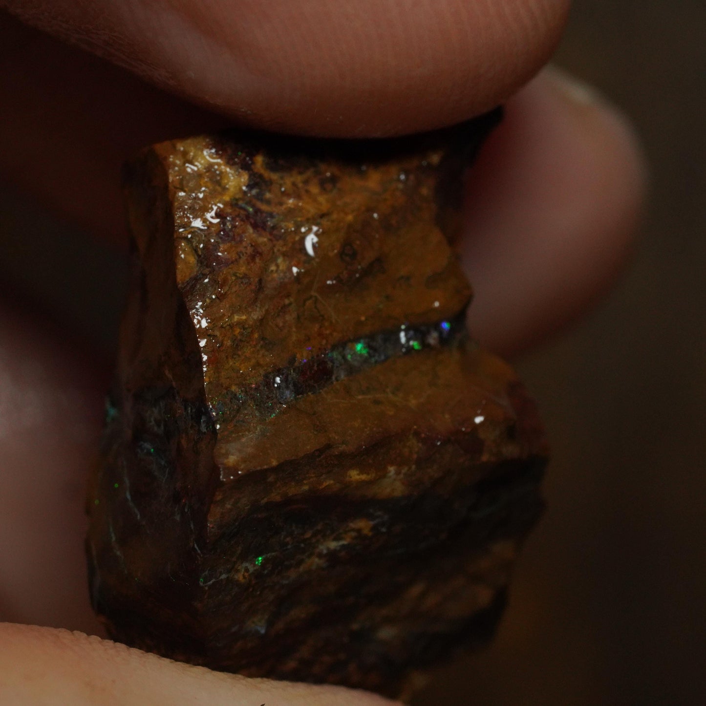 Boulder Opal