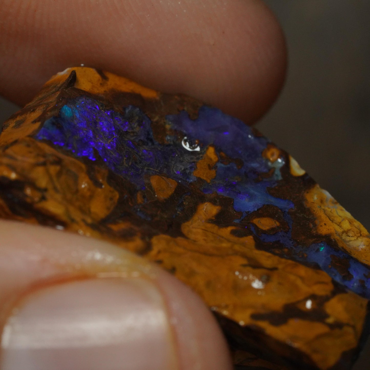 Boulder Opal
