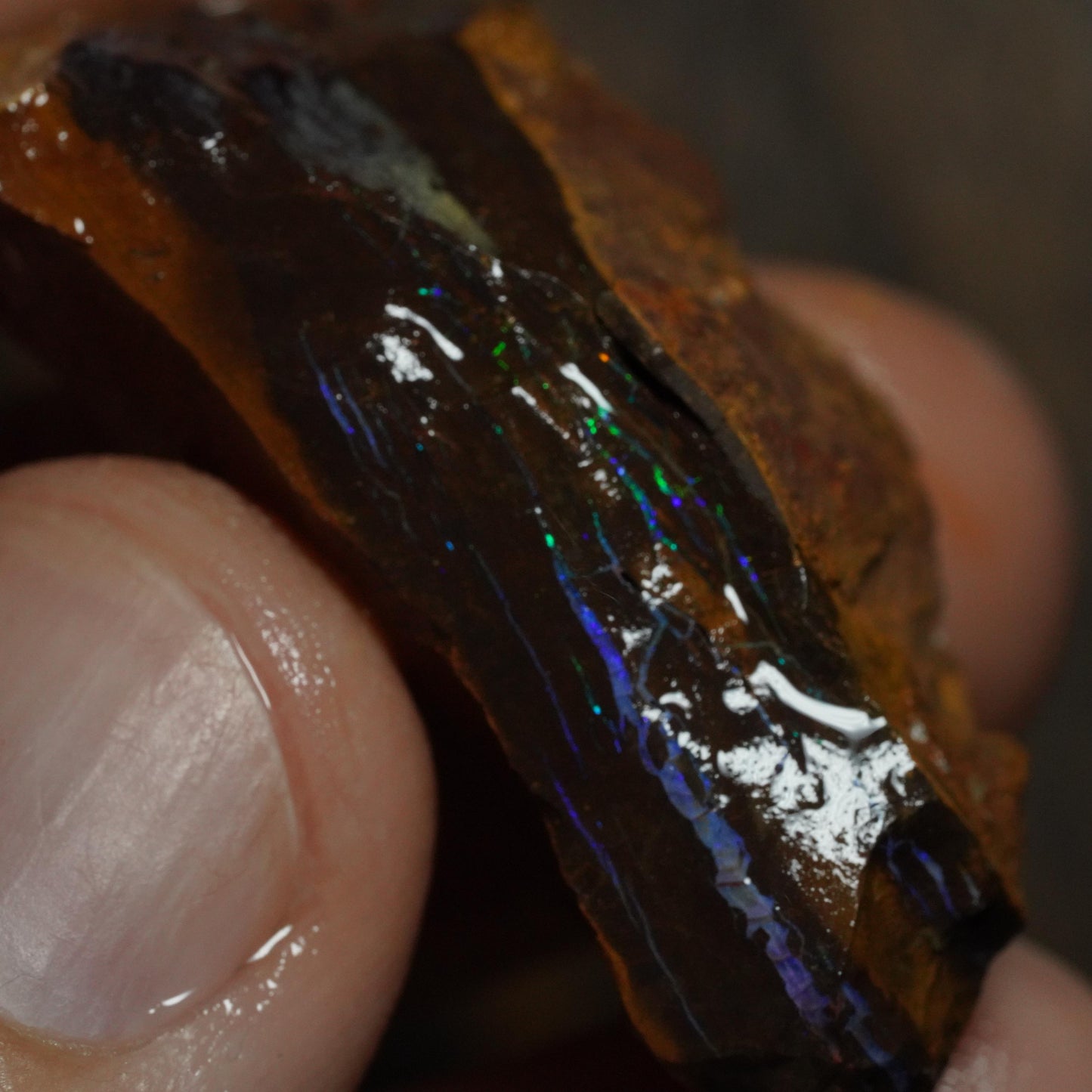 Boulder Opal