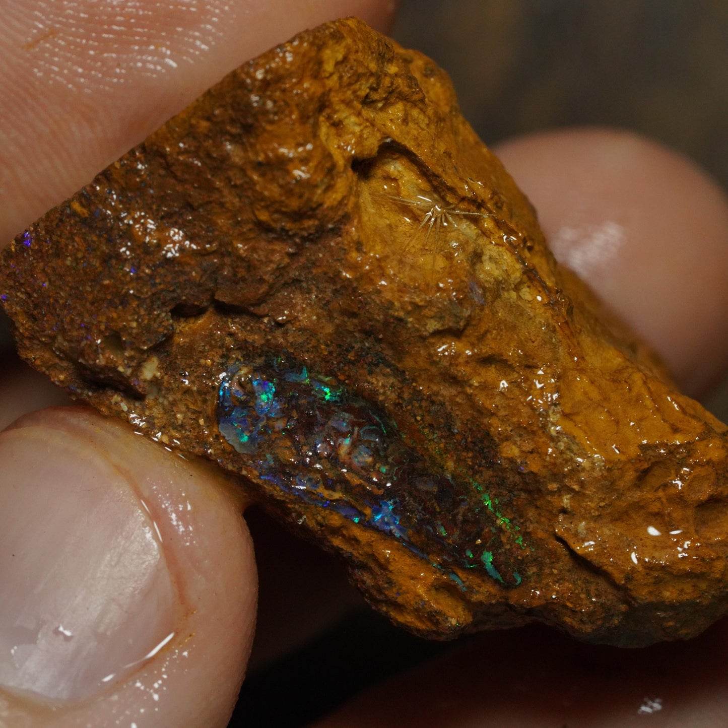 Boulder Opal