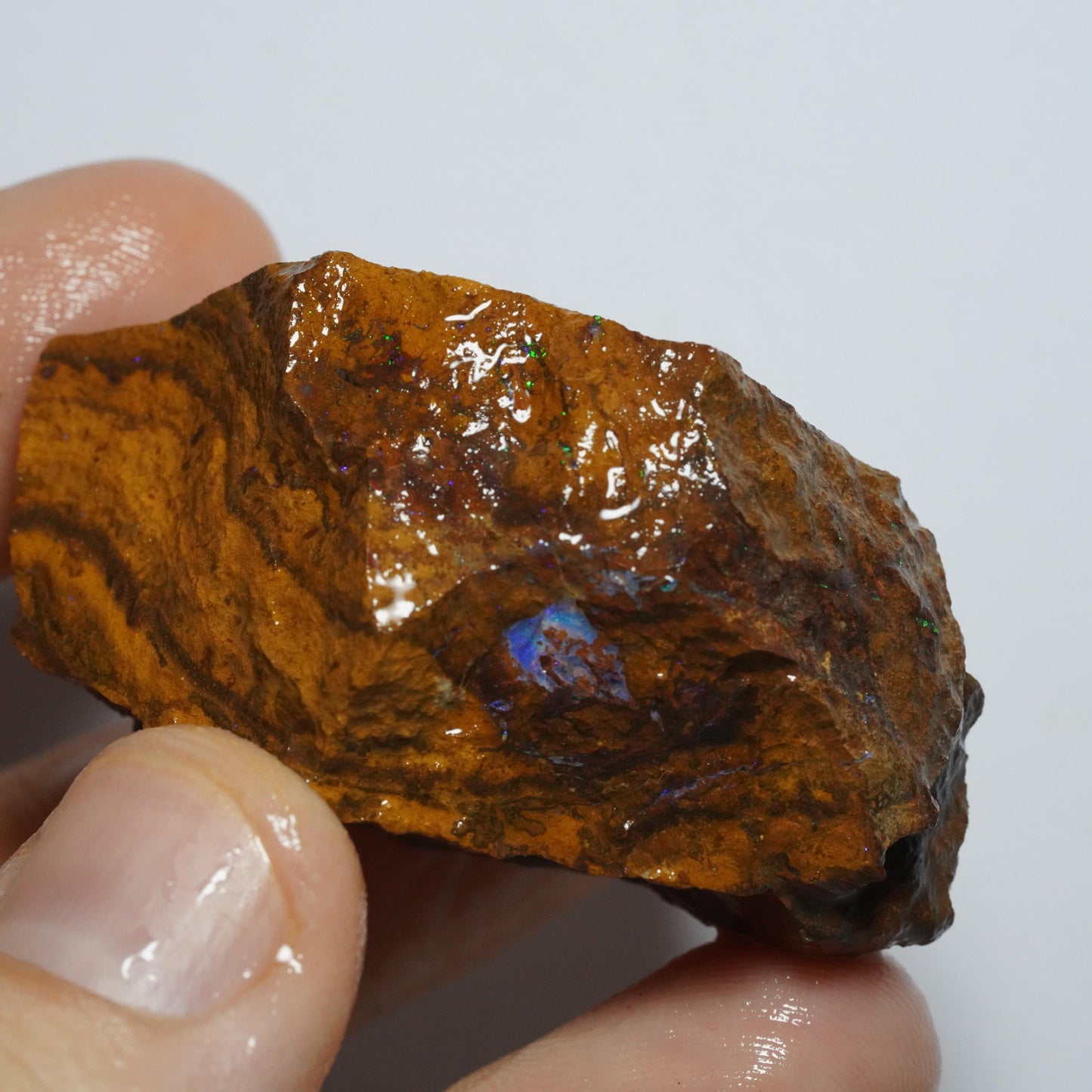 Boulder Opal