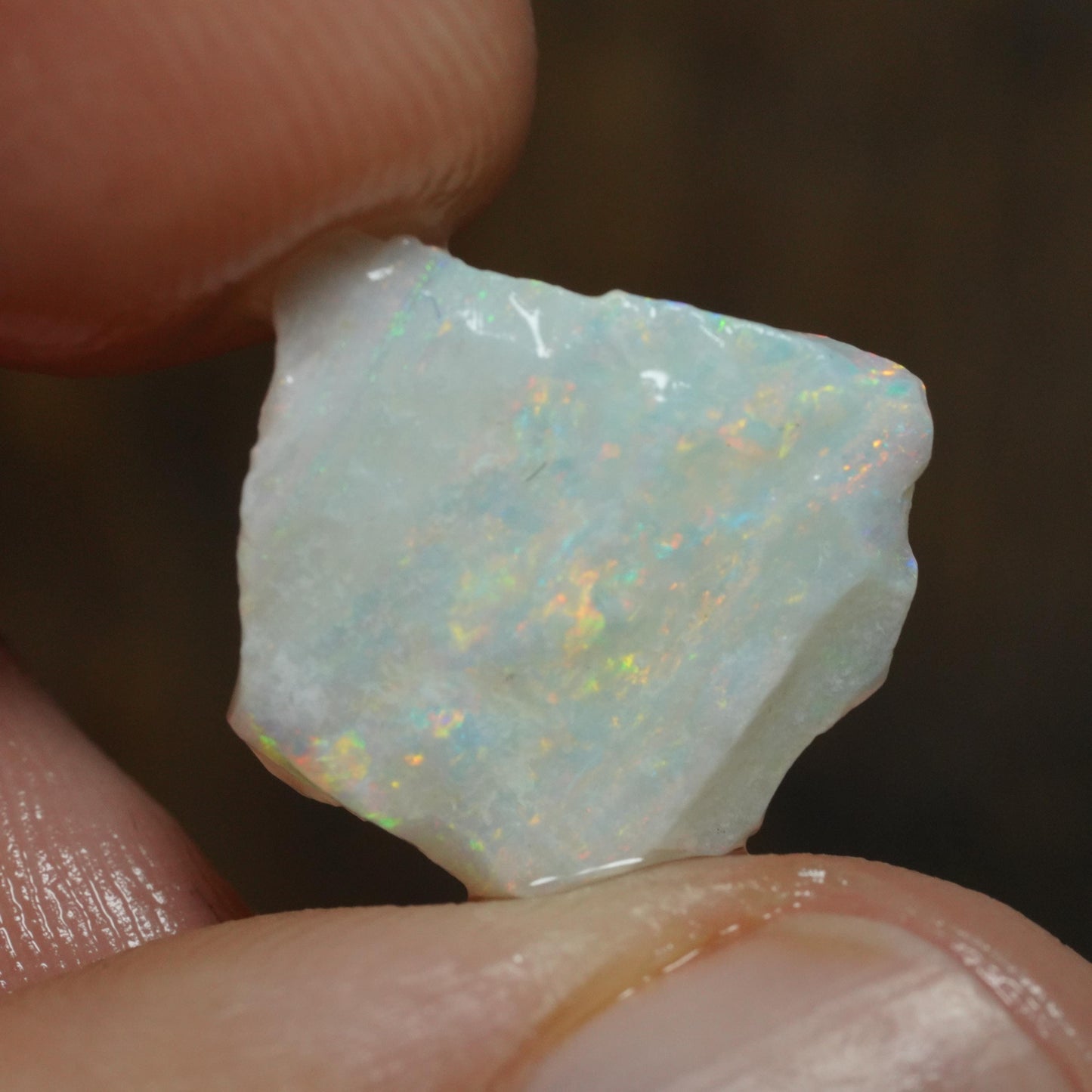 Australian Rough Opal