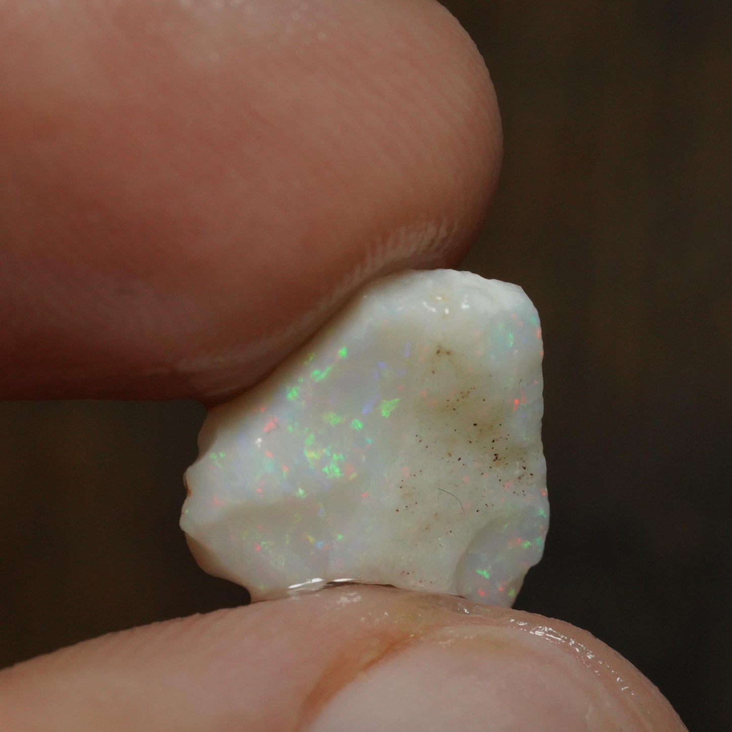 Australian Rough Opal