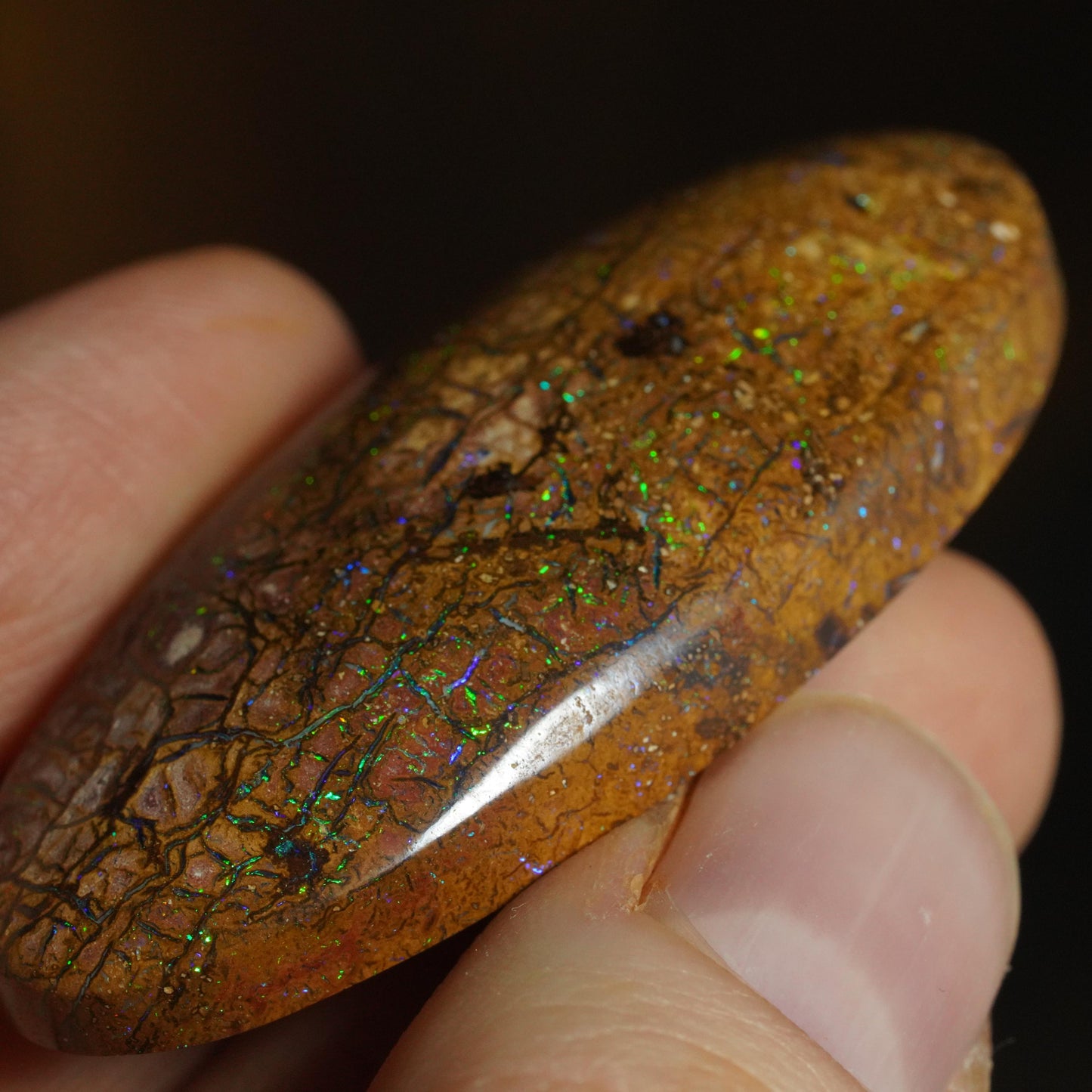 Boulder Opal Cut Stone