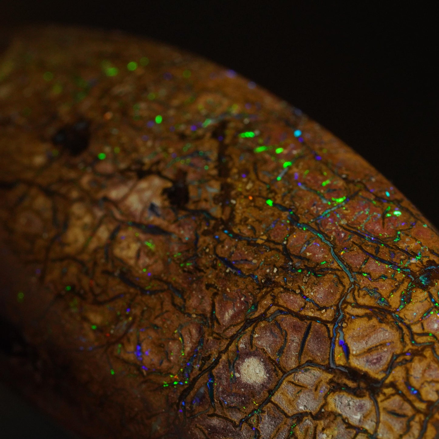 Boulder Opal Cut Stone