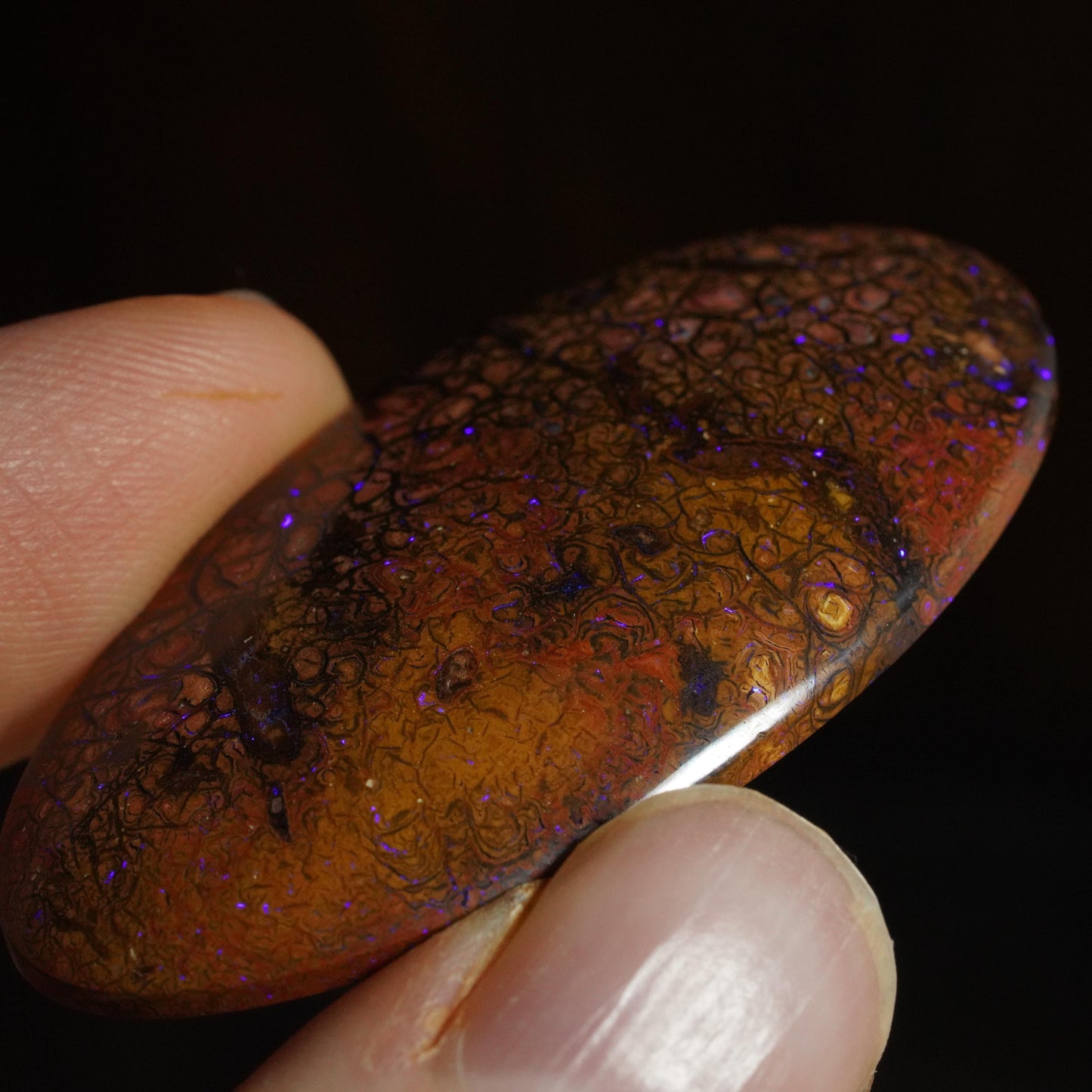 Boulder Opal Cut Stone