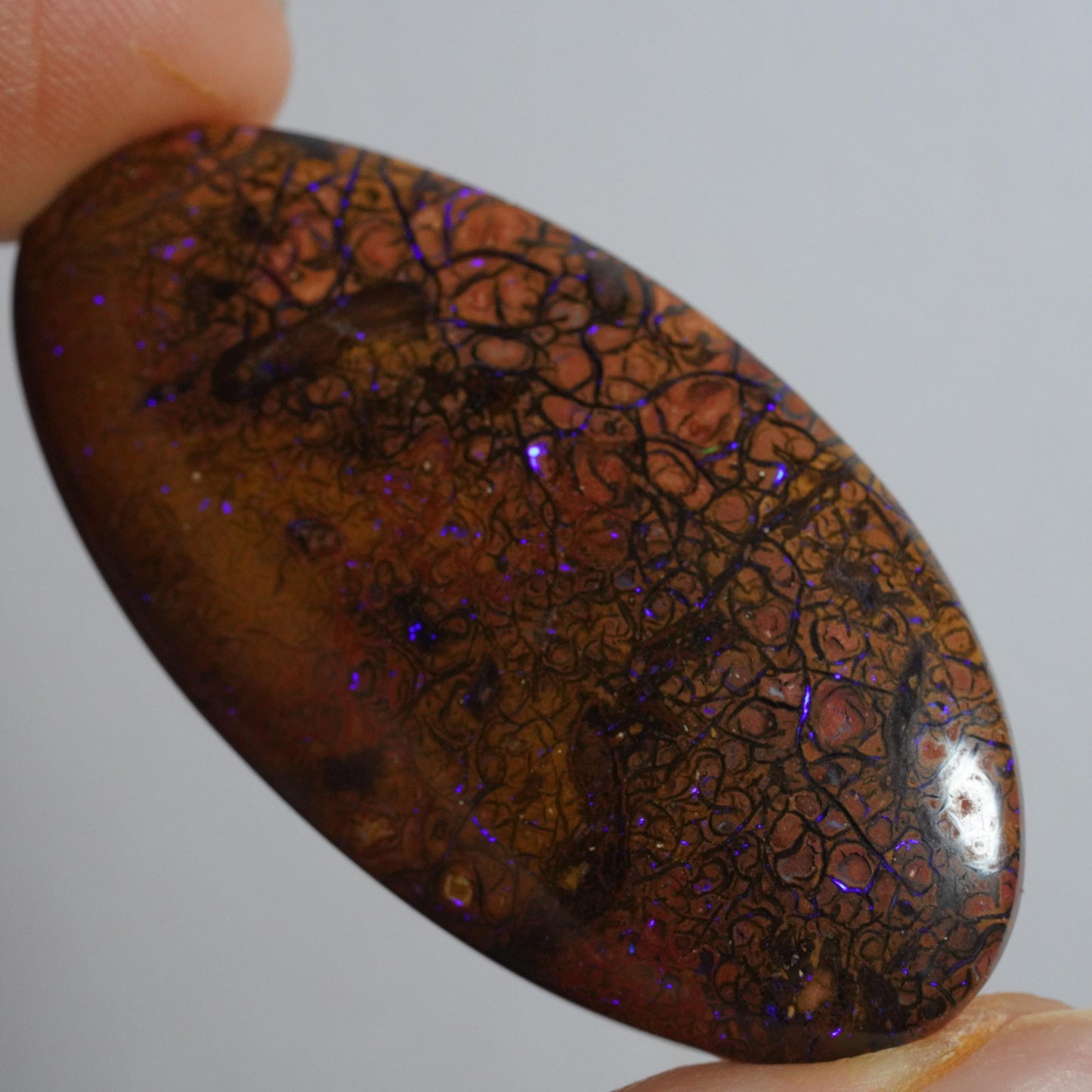 Boulder Opal Cut Stone