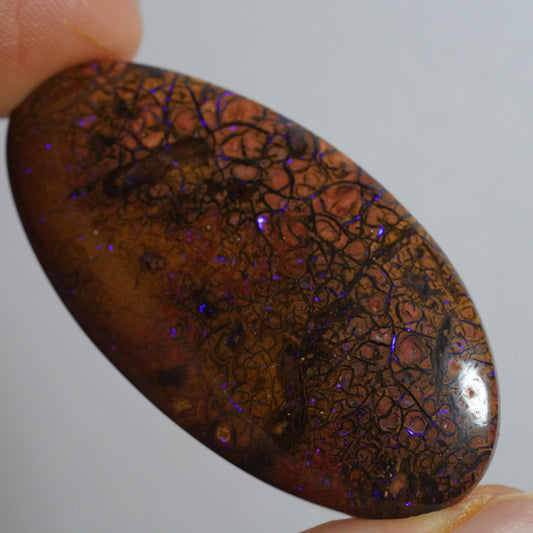 Boulder Opal Cut Stone