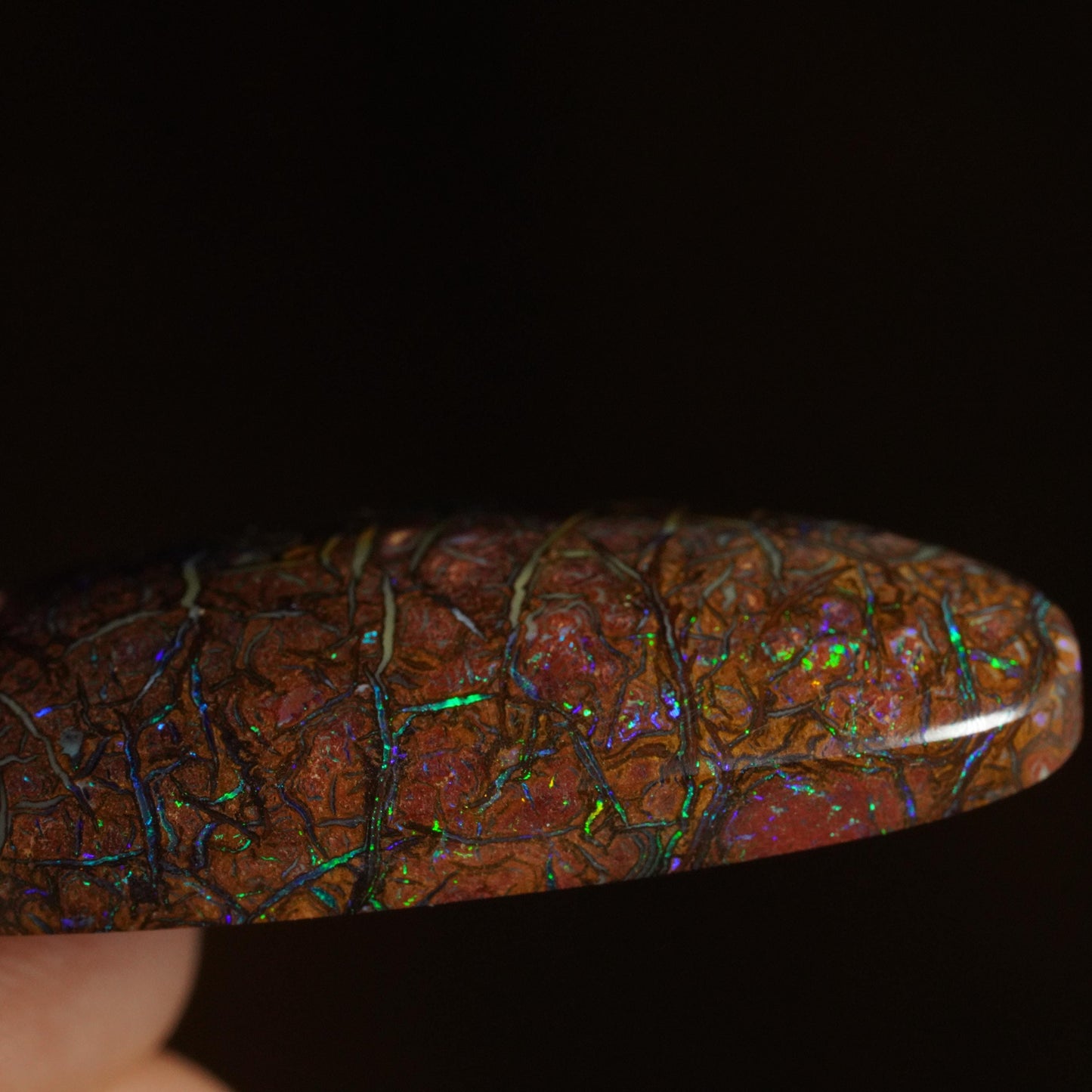 Boulder Opal Cut Stone