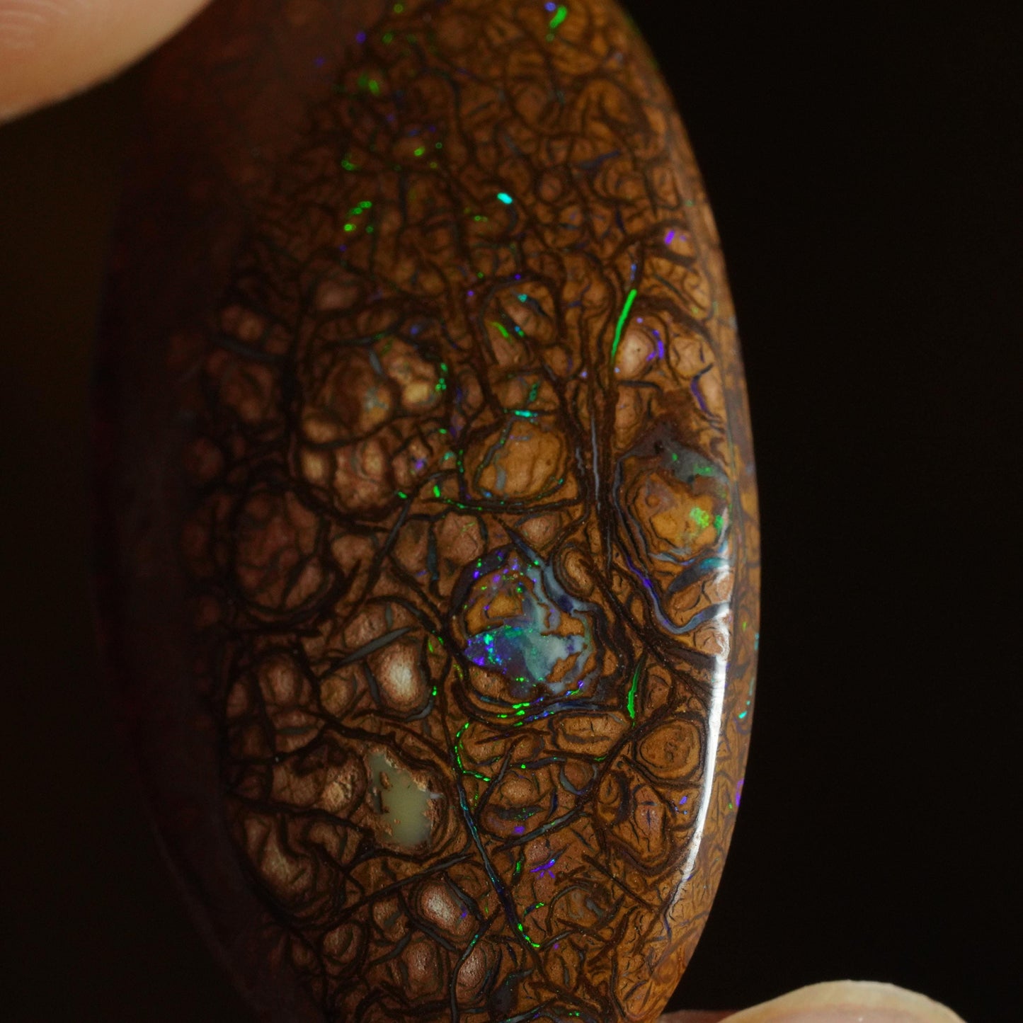 Boulder Opal Cut Stone