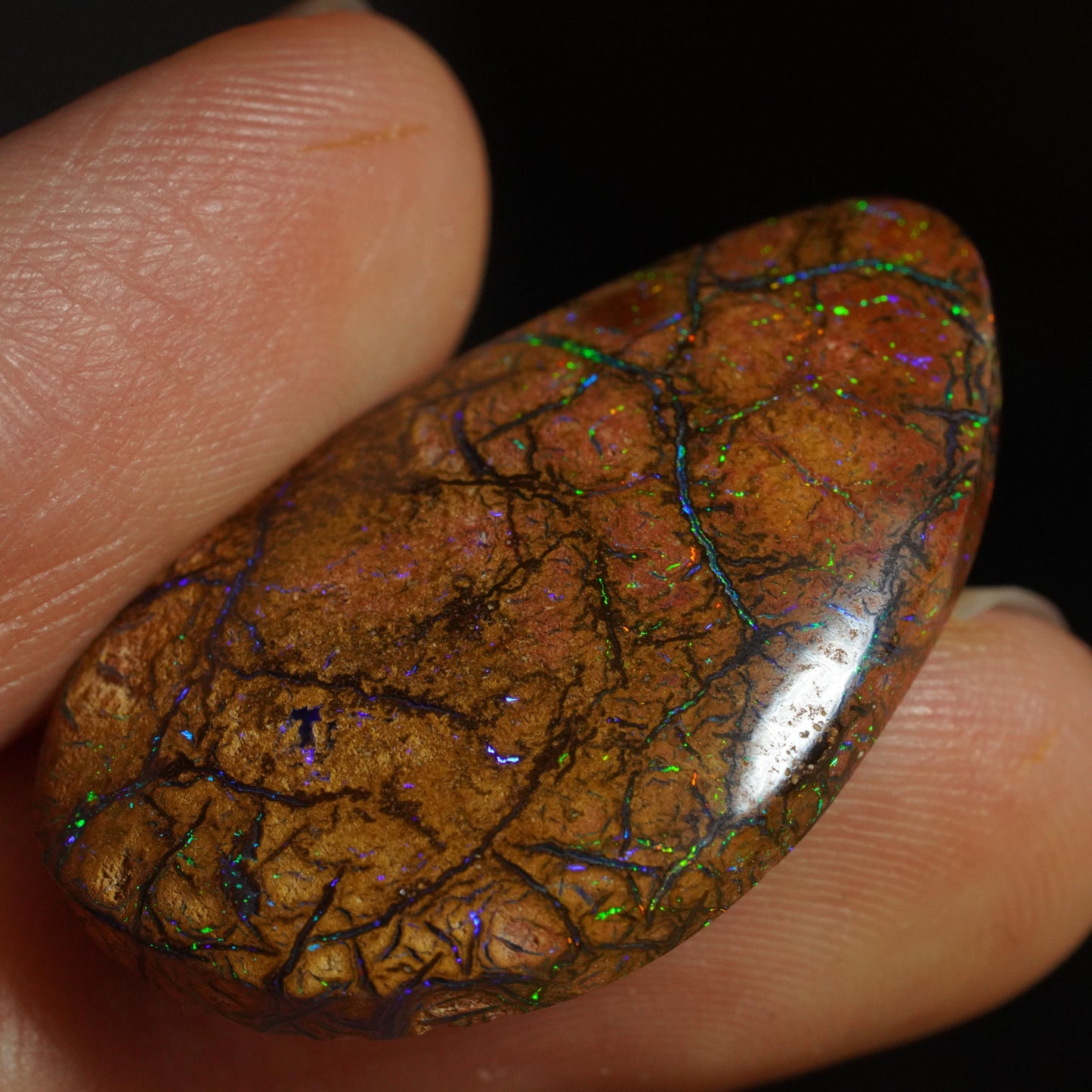 Boulder Opal Cut Stone
