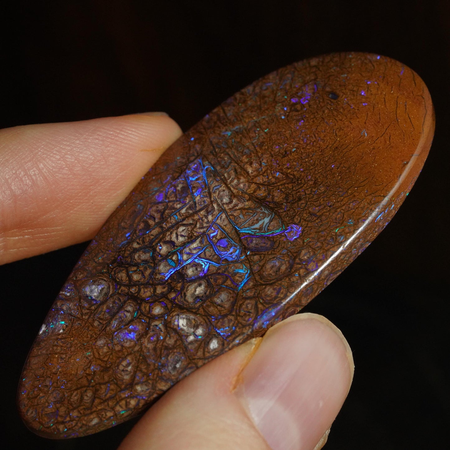 Boulder Opal Cut Stone