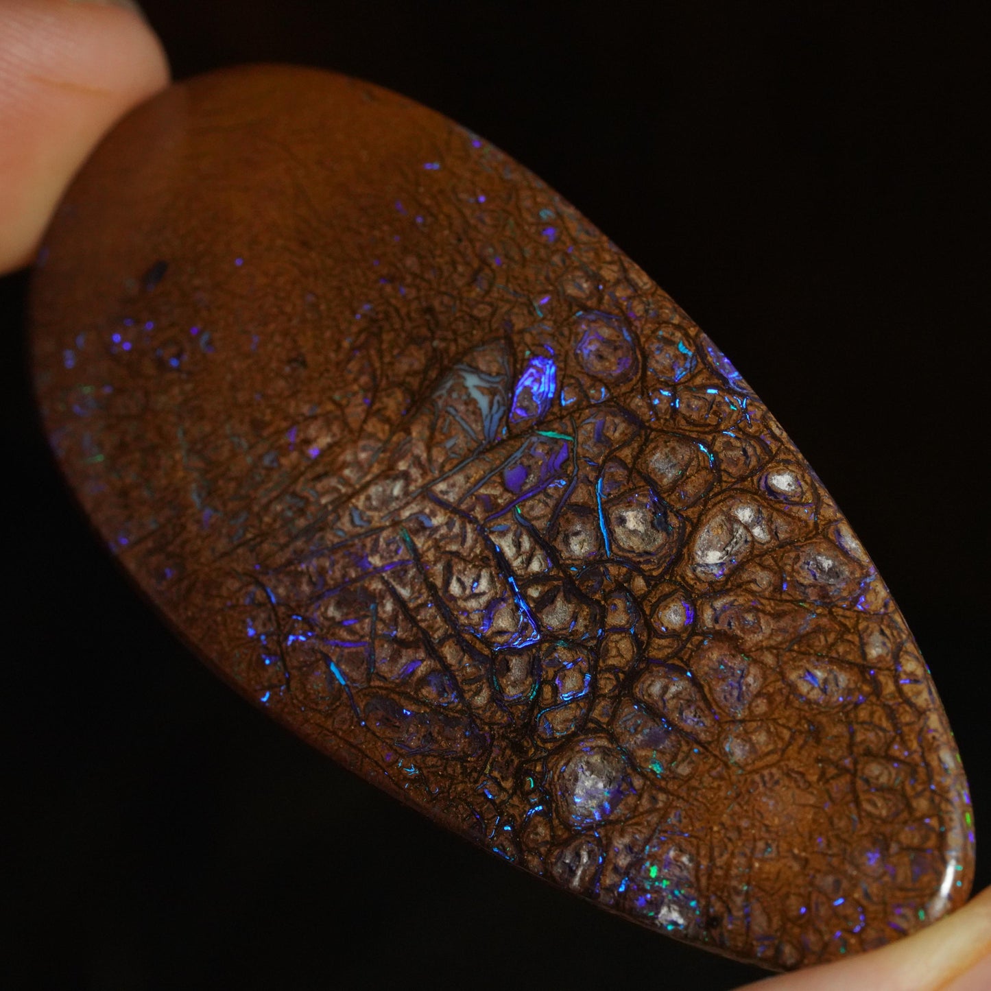 Boulder Opal Cut Stone