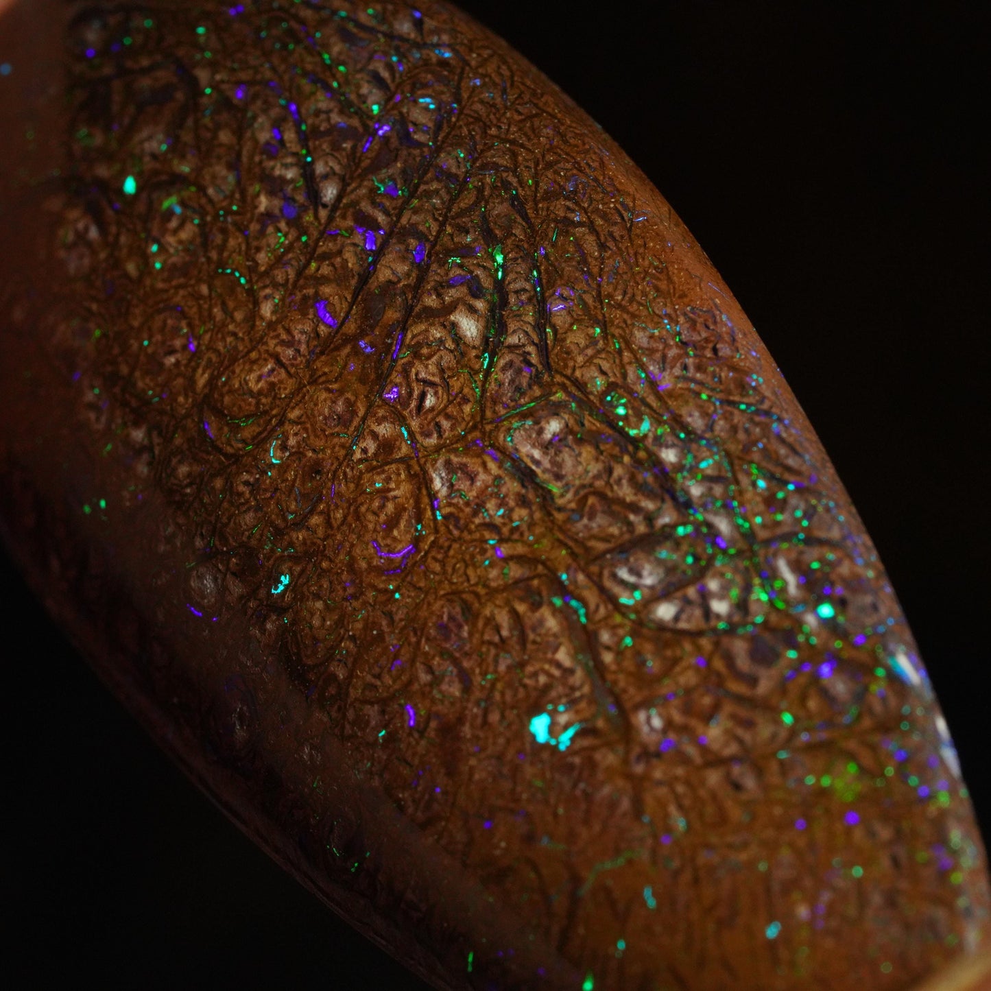 Boulder Opal Cut Stone