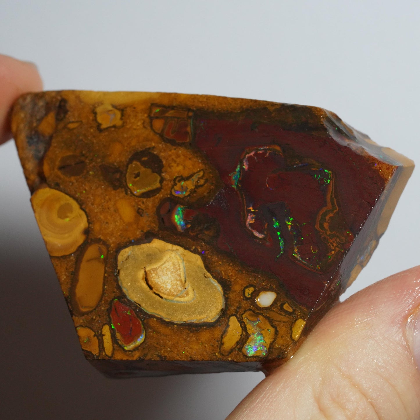 Boulder Opal Slab