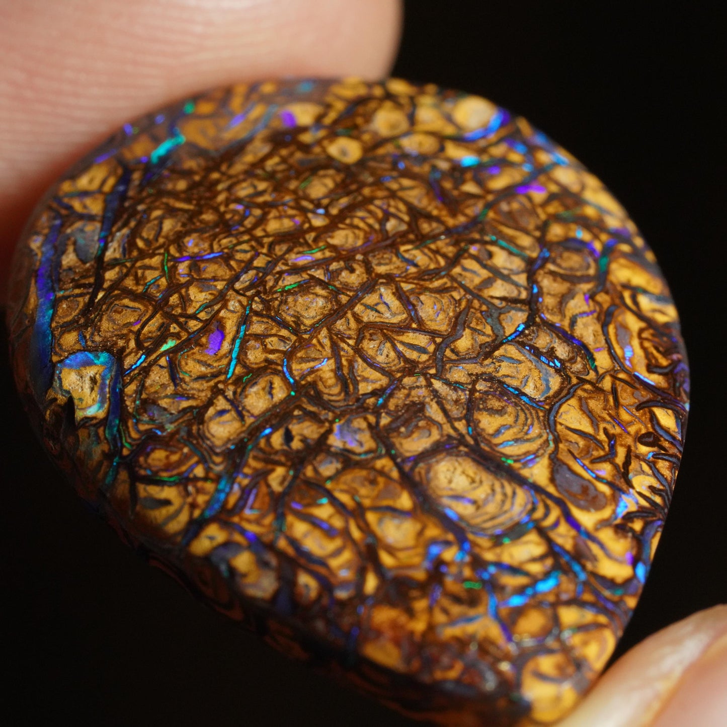 Boulder Opal Cut Stone