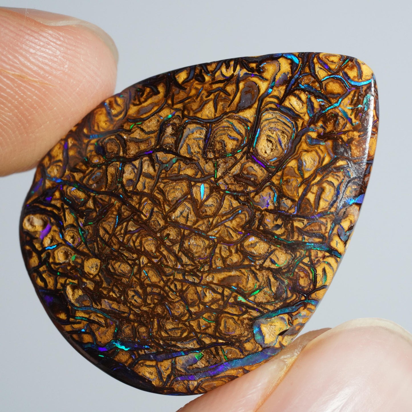 Boulder Opal Cut Stone