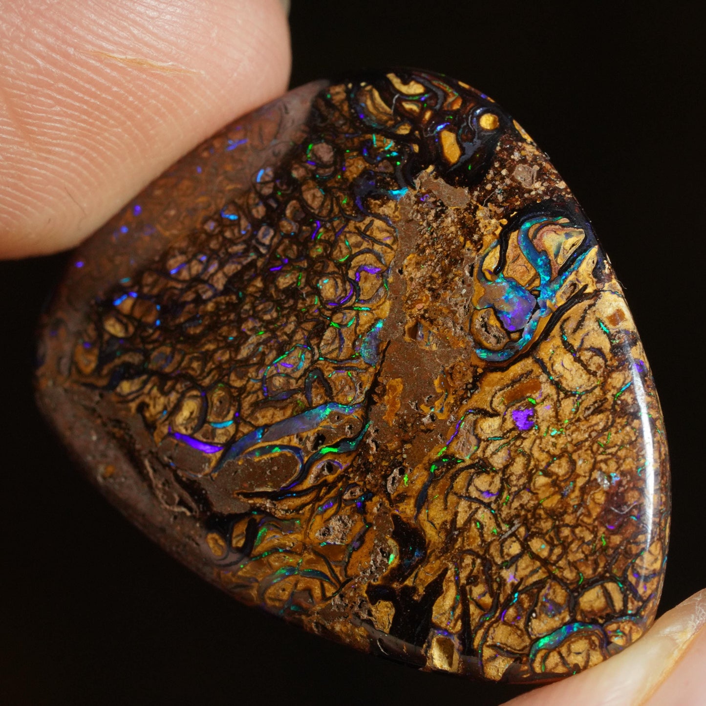 Boulder Opal Cut Stone