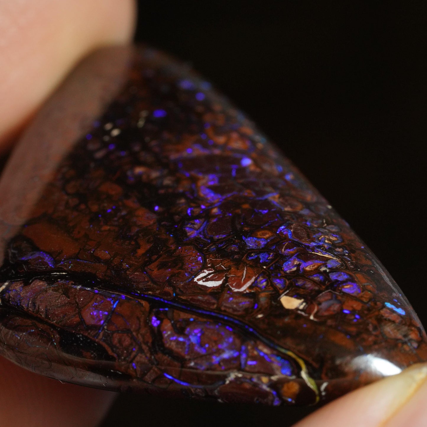 Boulder Opal Cut Stone