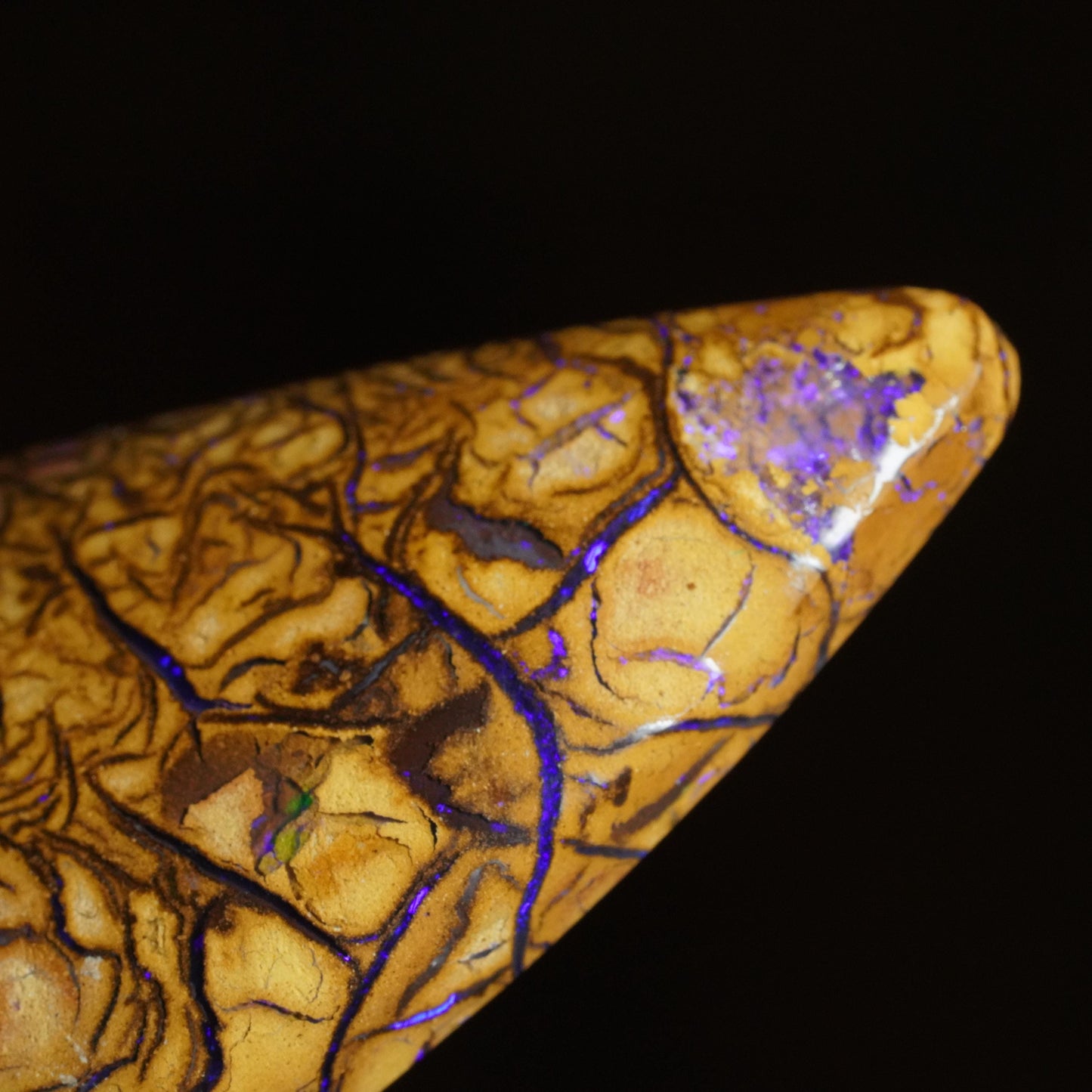 Boulder Opal Cut Stone