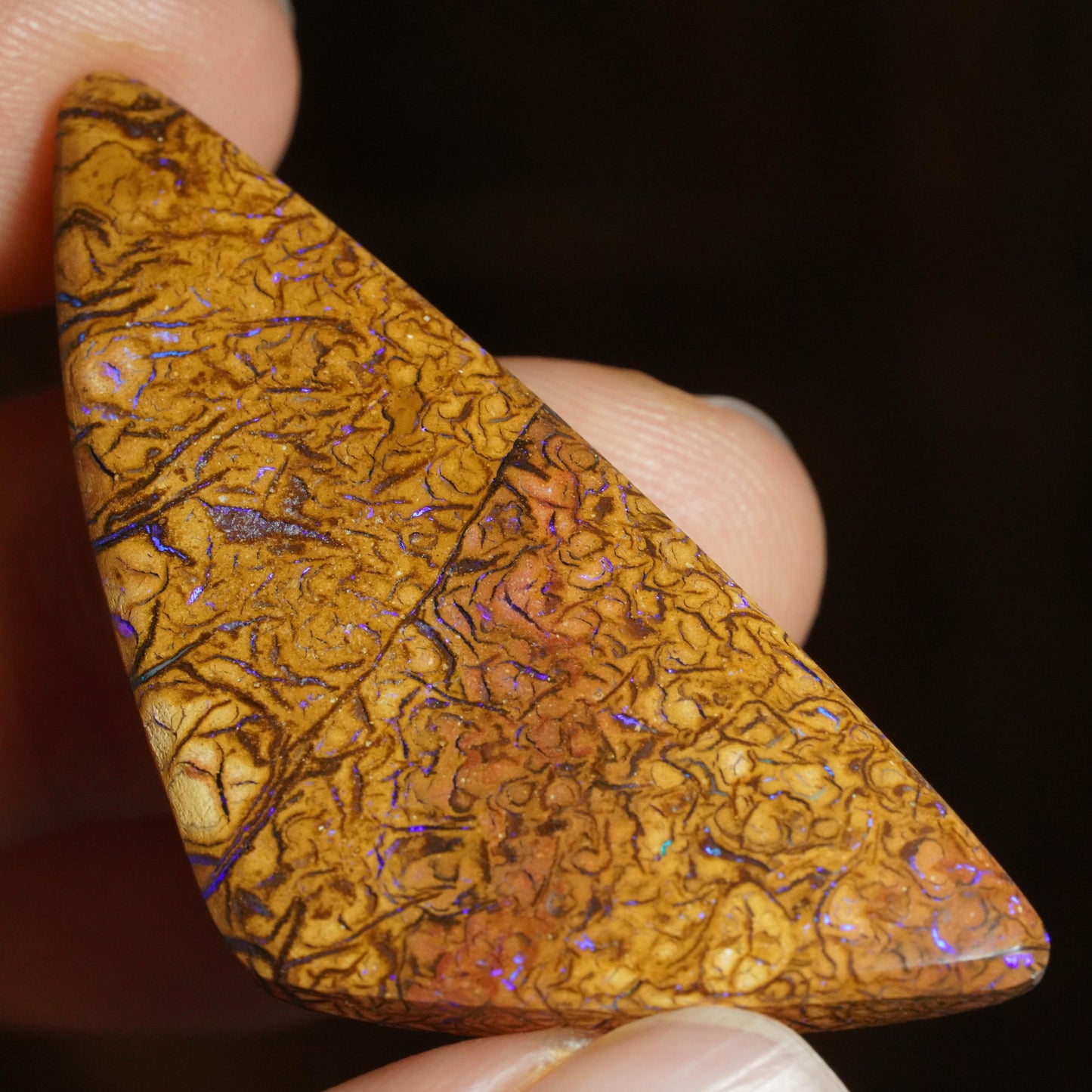 Boulder Opal Cut Stone