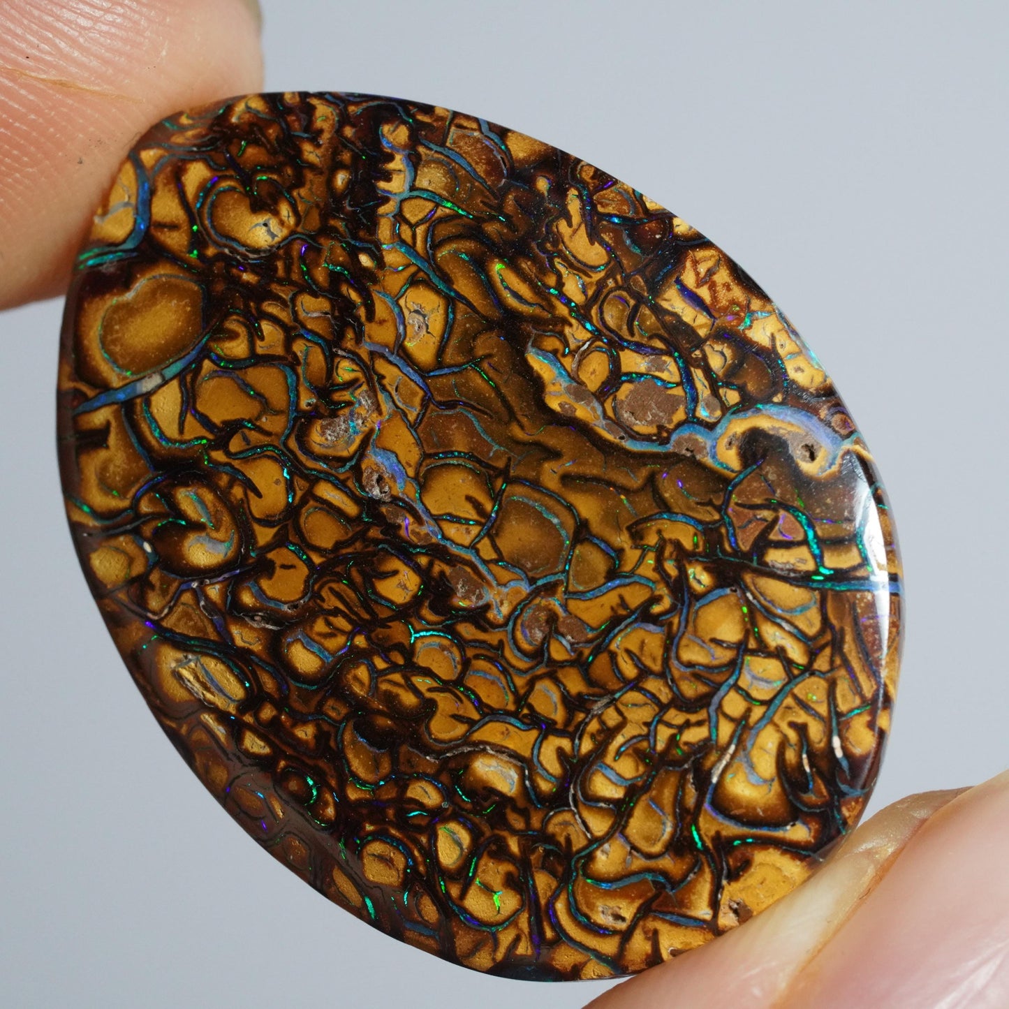 Boulder Opal Cut Stone