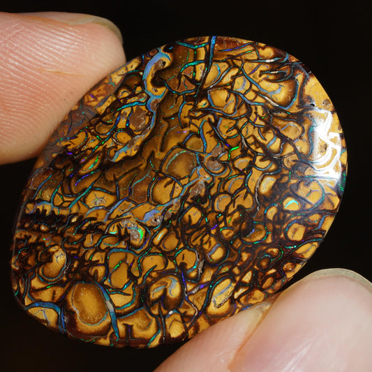 Boulder Opal Cut Stone
