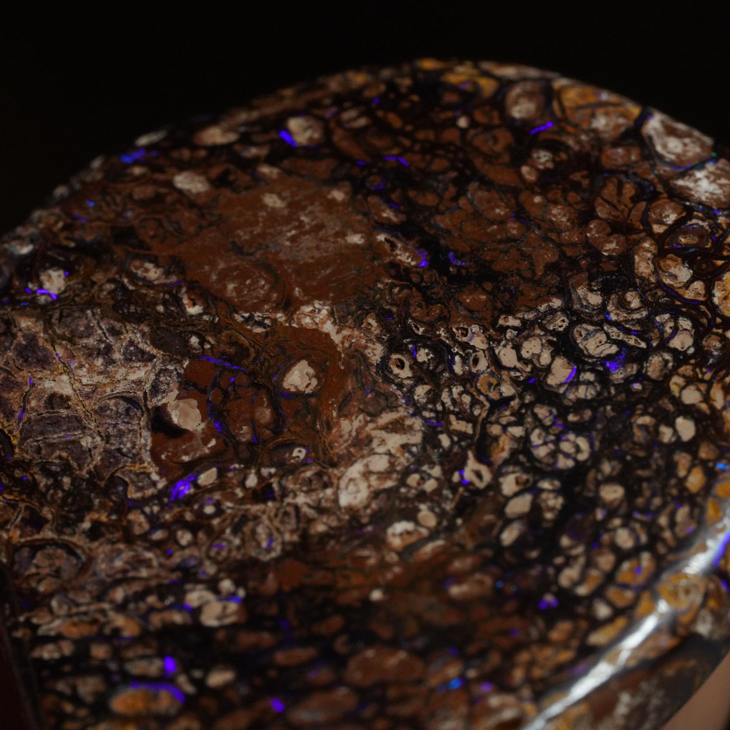 Boulder Opal Cut Stone