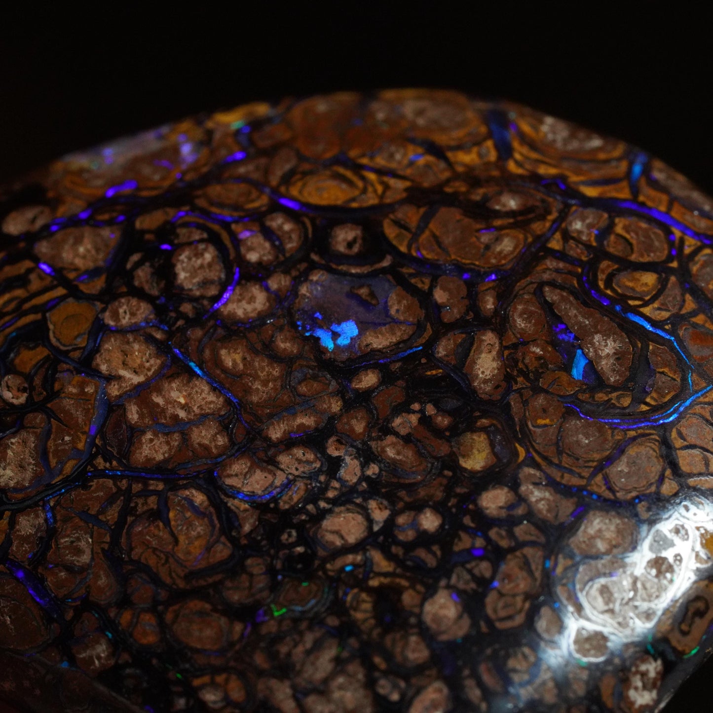 Boulder Opal Cut Stone