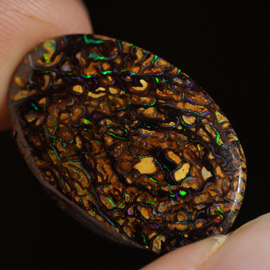 Boulder Opal Cut Stone