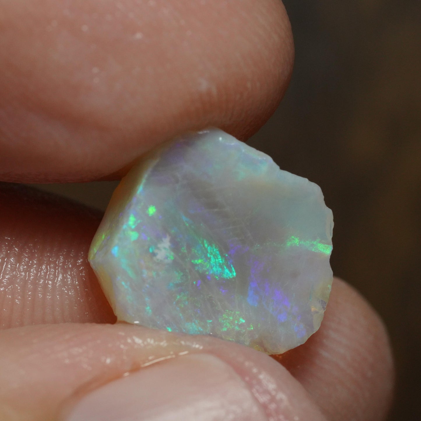 Australian Rough Opal