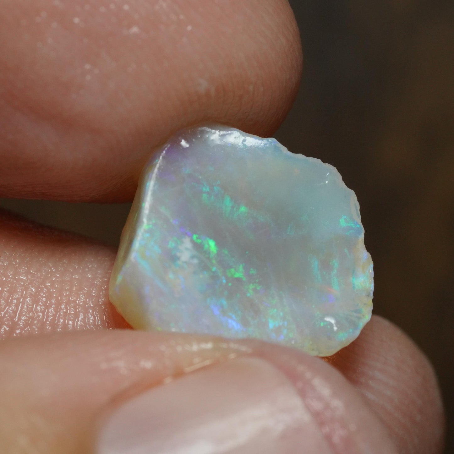 Australian Rough Opal