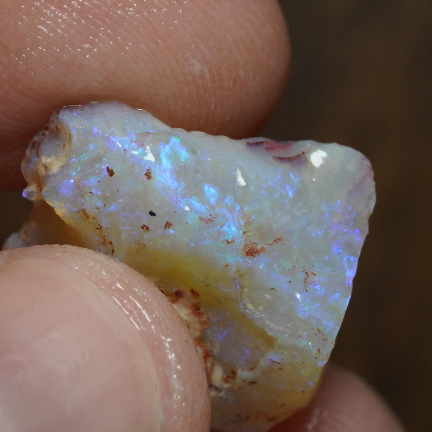 Australian Rough Opal
