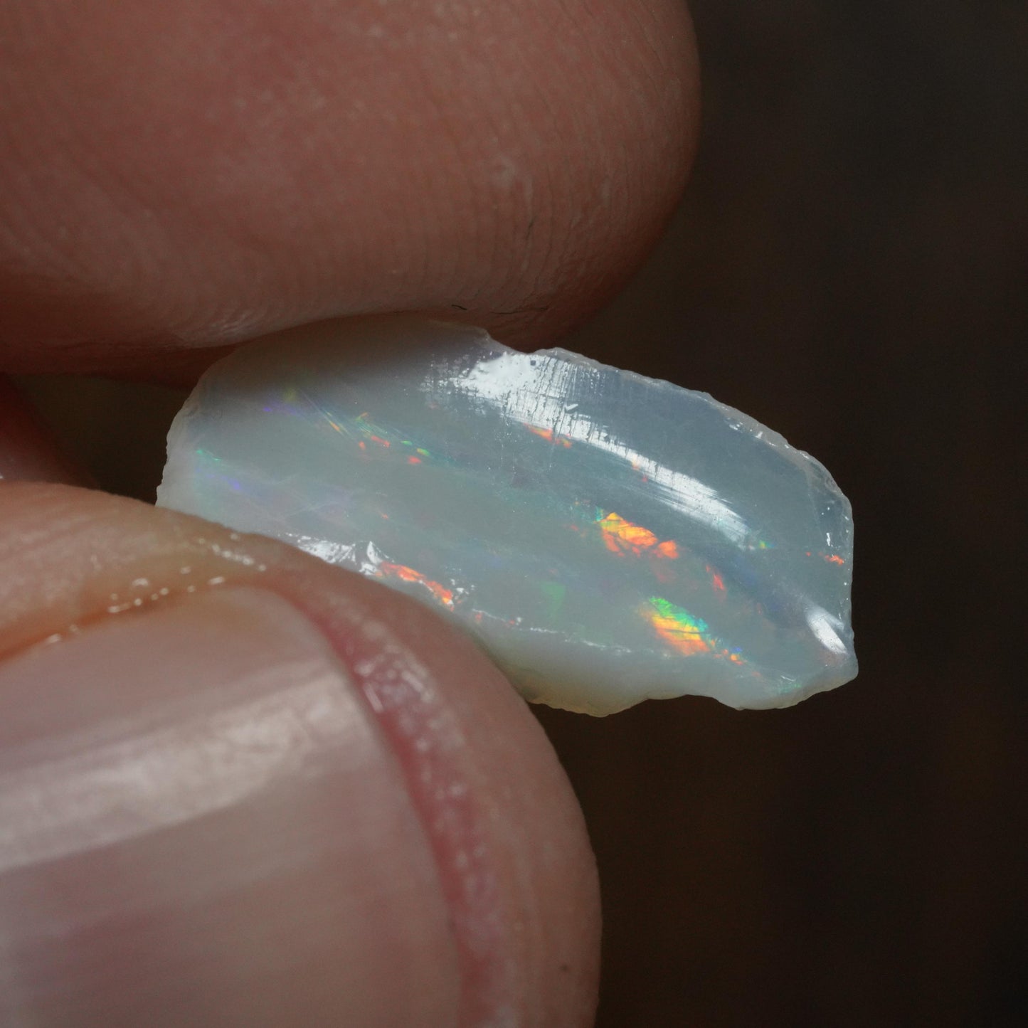 Australian Rough Opal