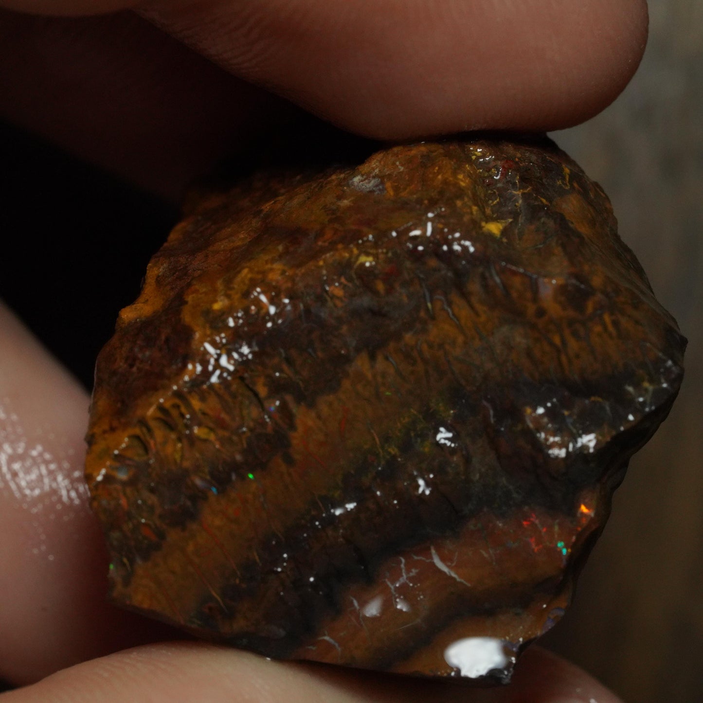 Boulder Opal