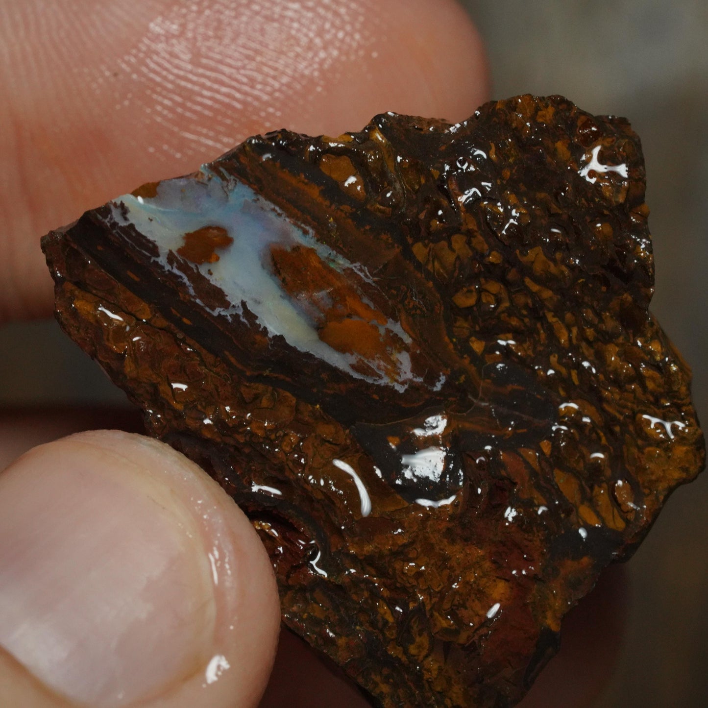 Boulder Opal