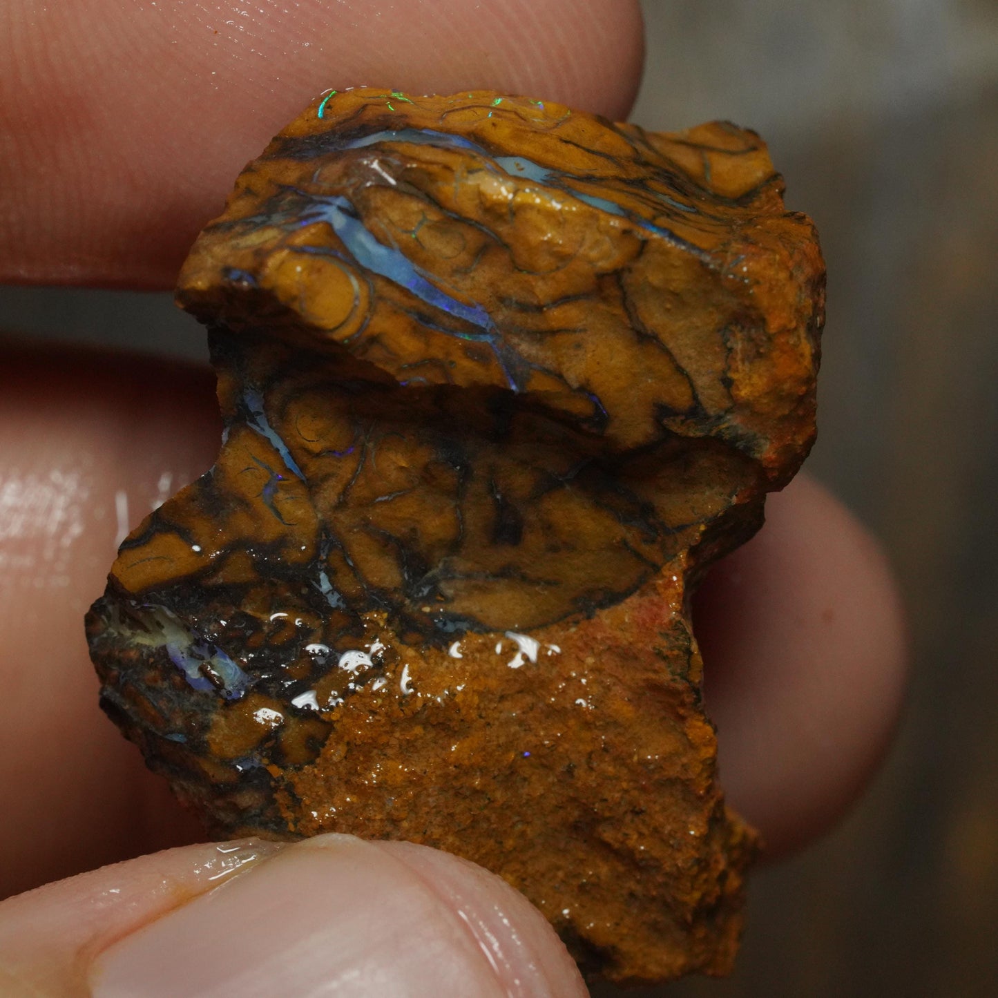 Boulder Opal