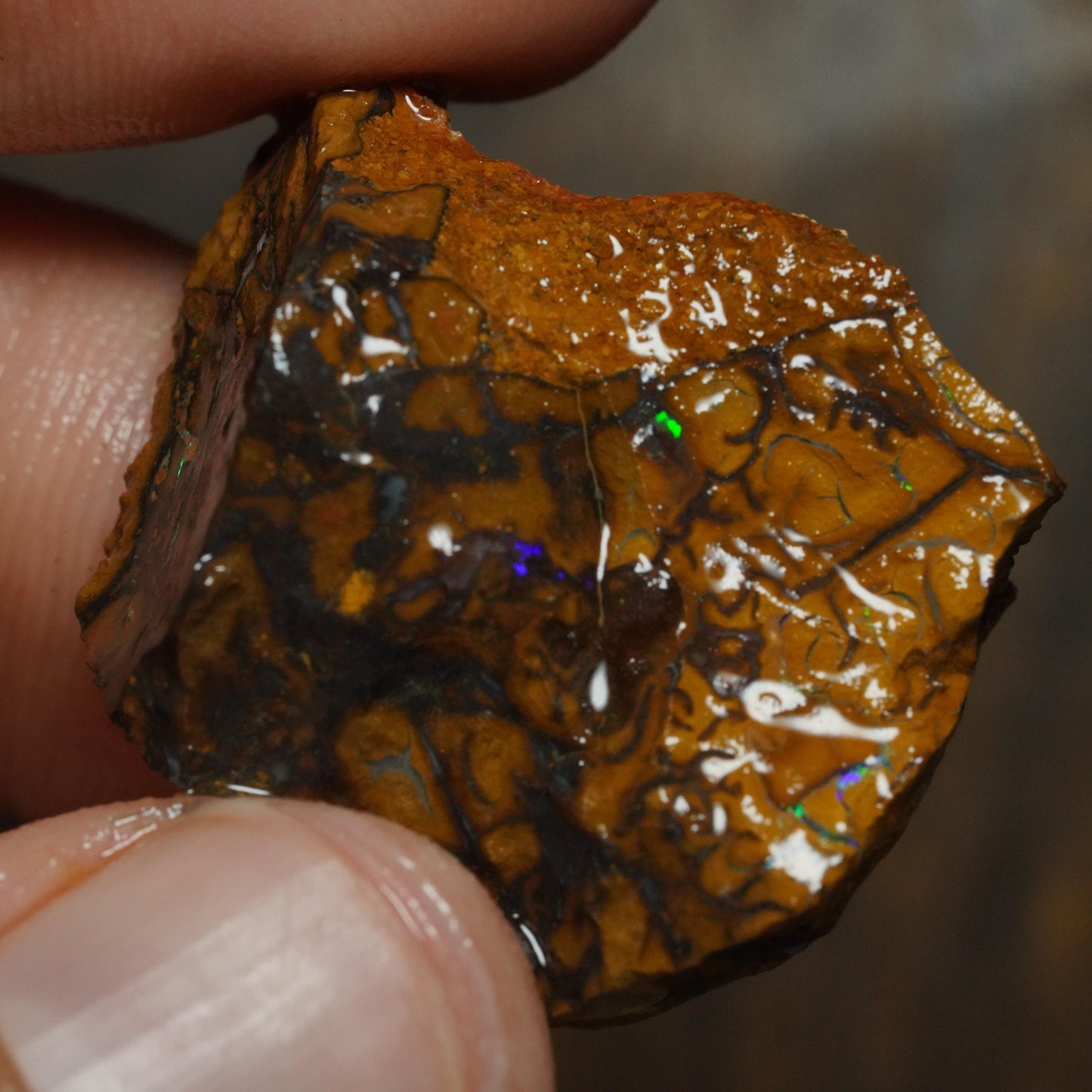 Boulder Opal