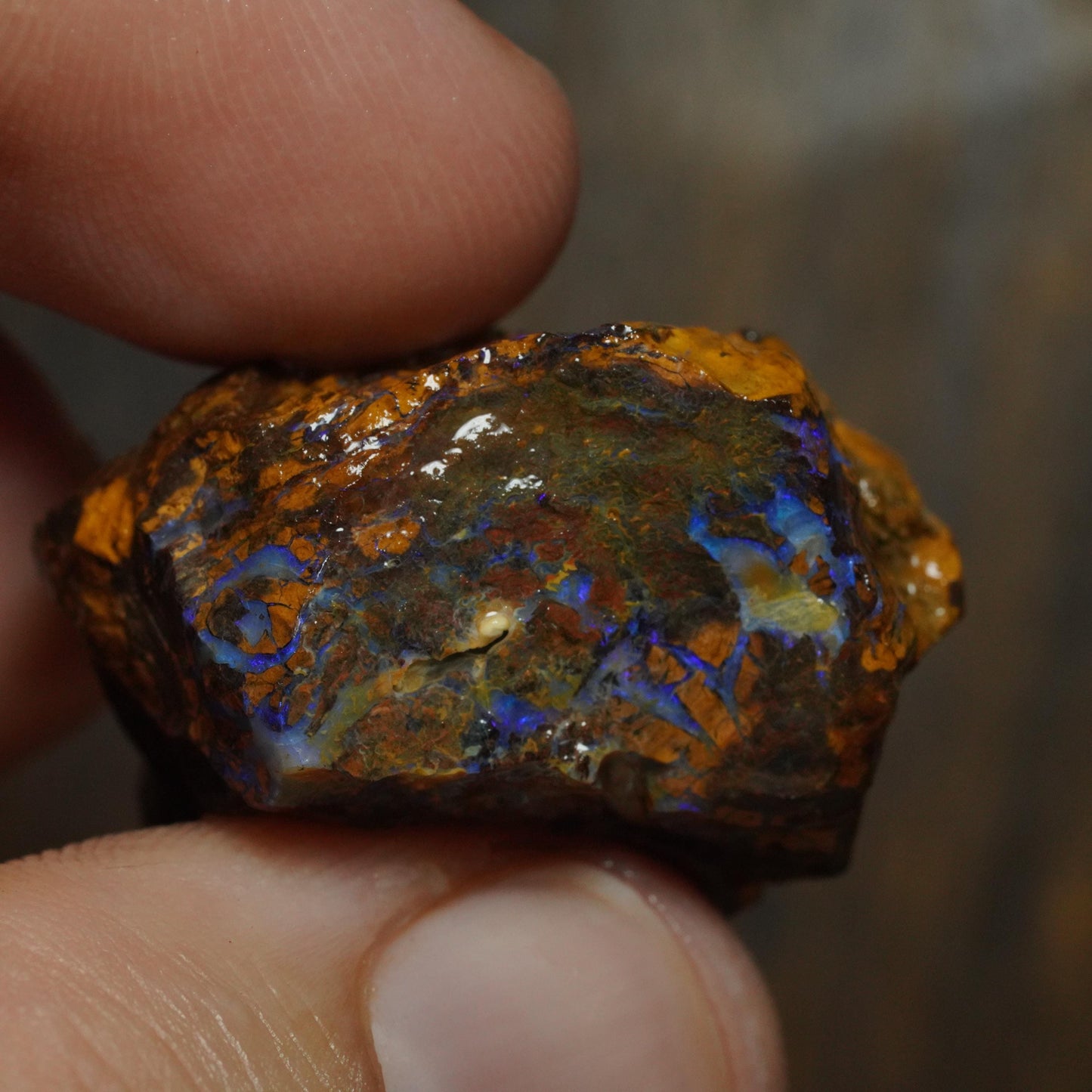 Boulder Opal