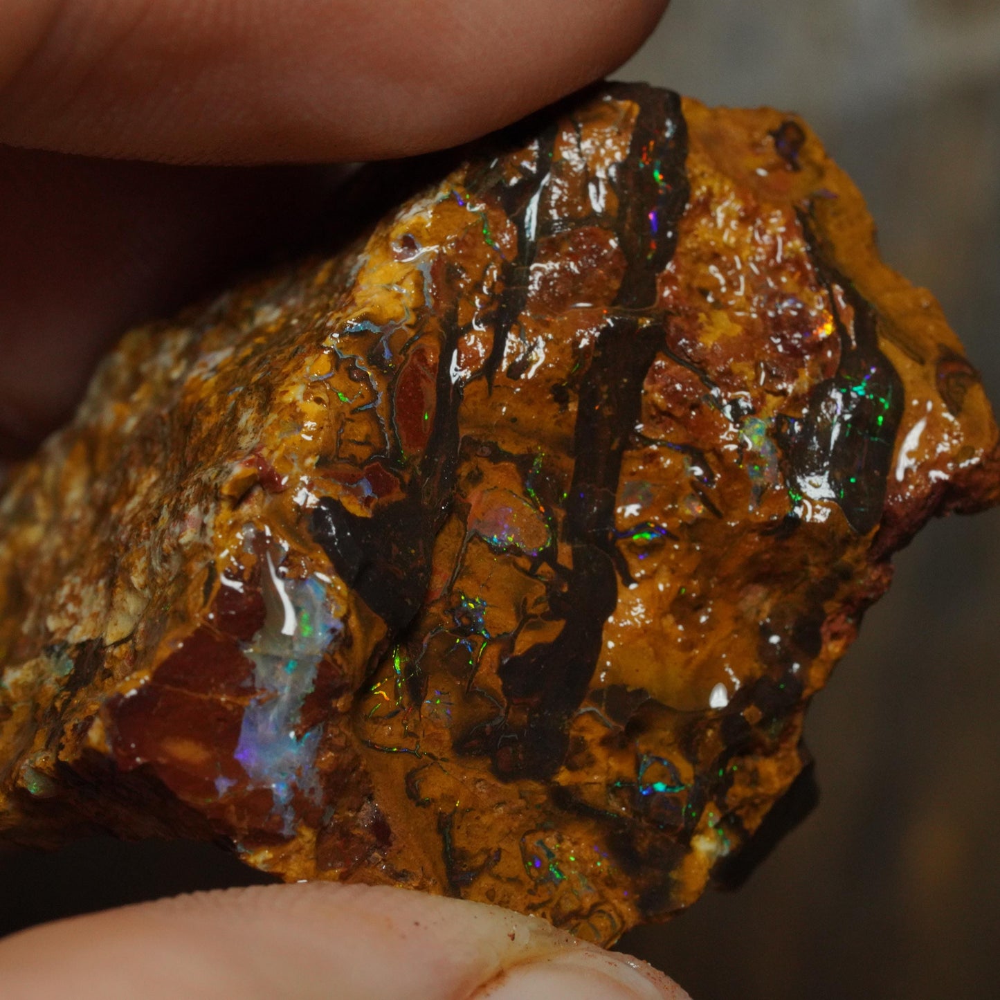 Boulder Opal