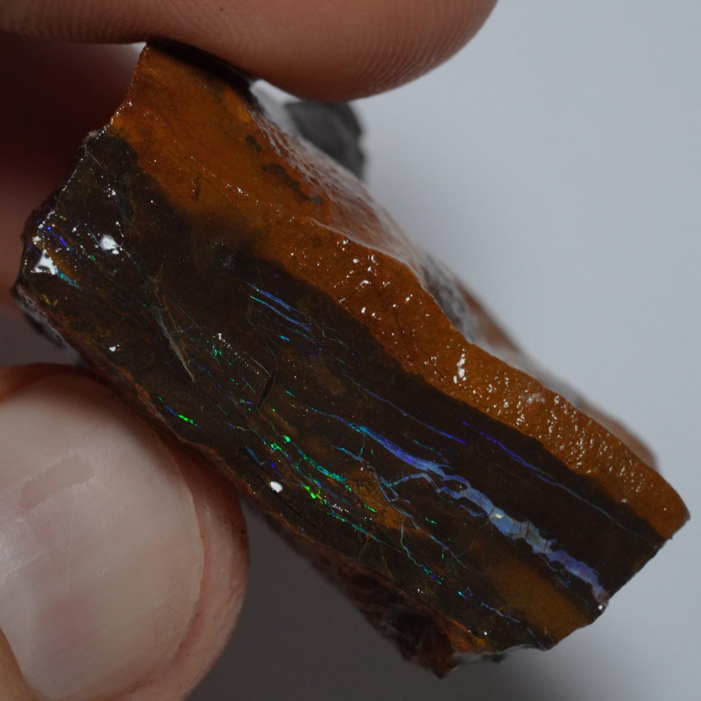 Boulder Opal