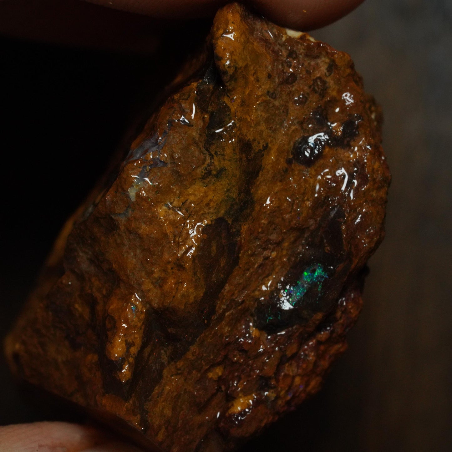 Boulder Opal