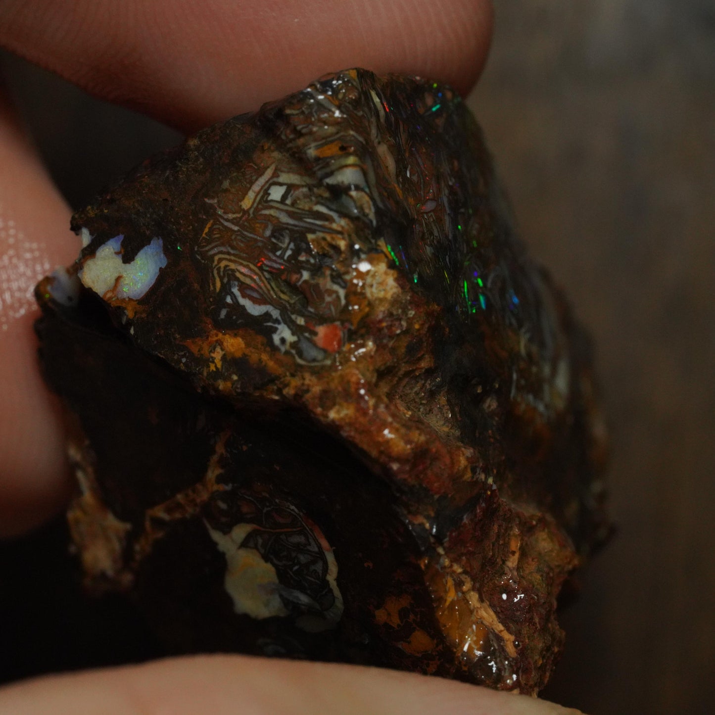 Boulder Opal