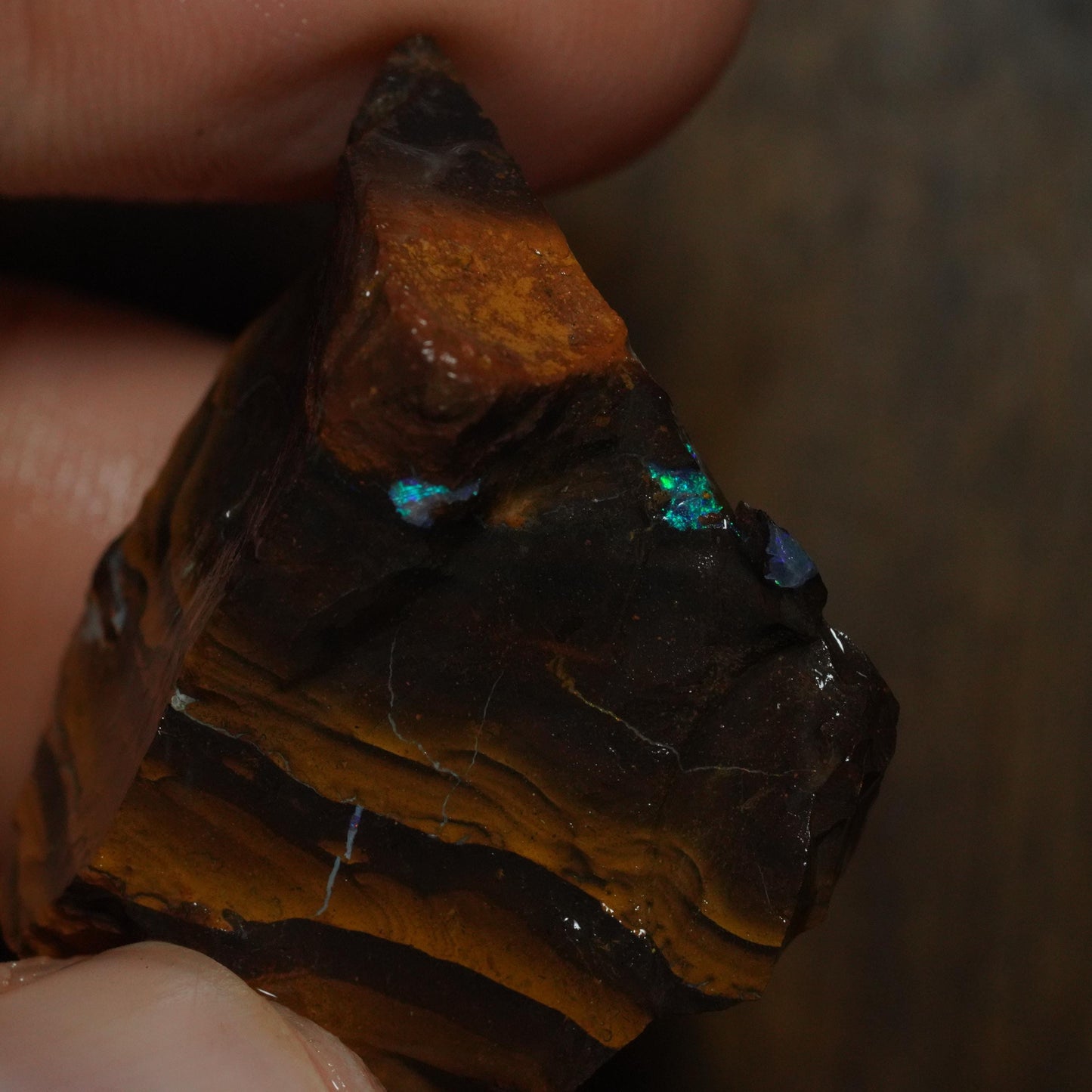 Boulder Opal