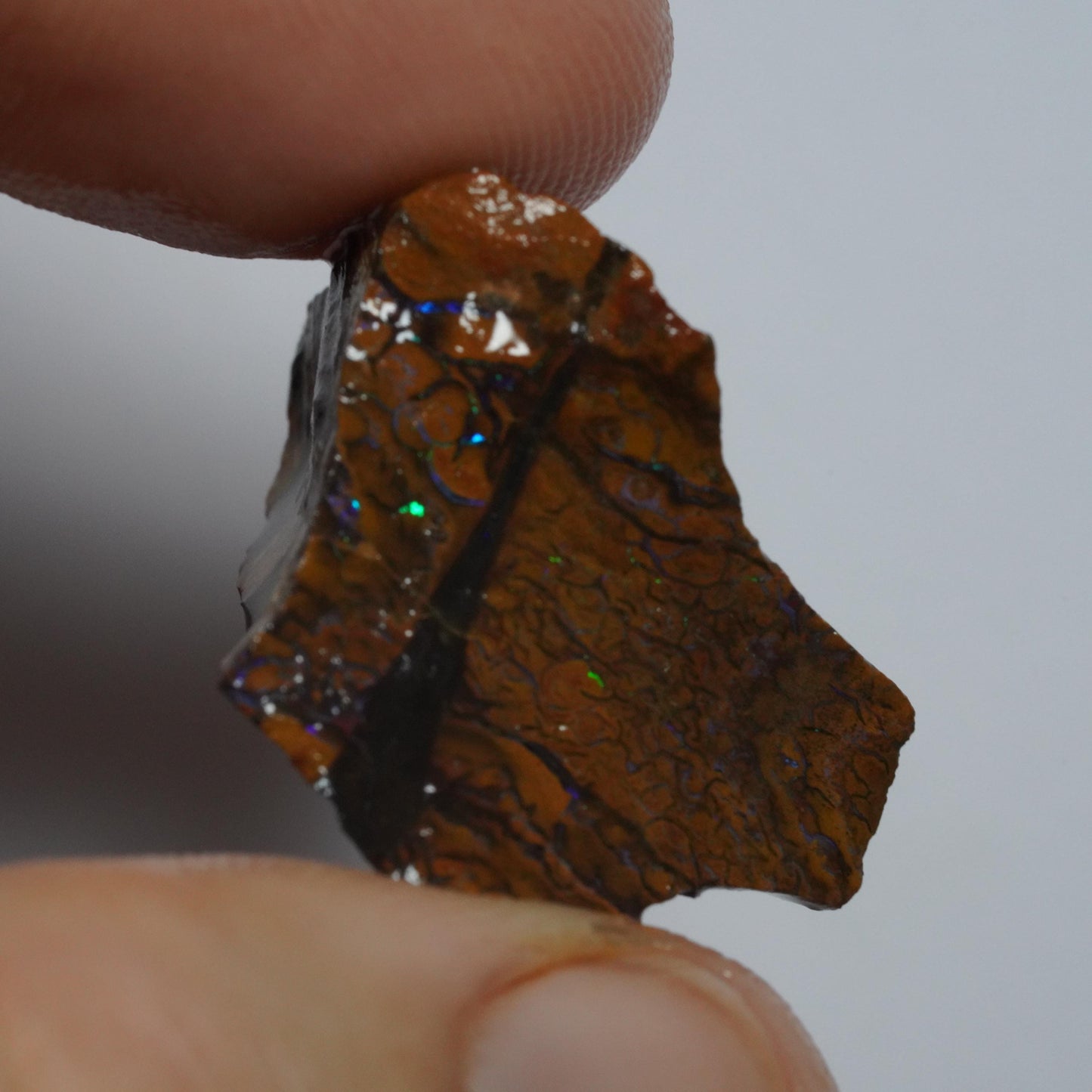 Boulder Opal