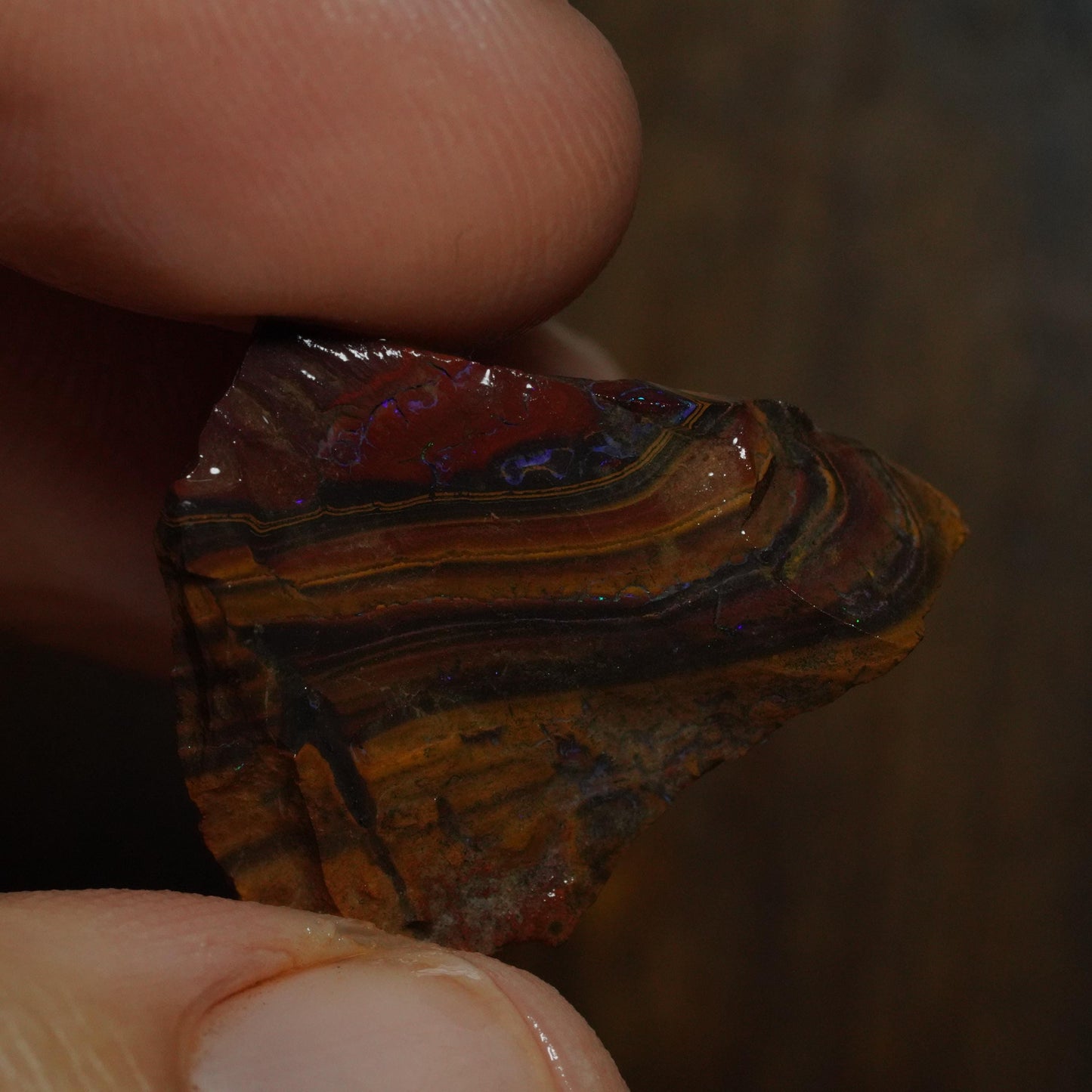 Boulder Opal