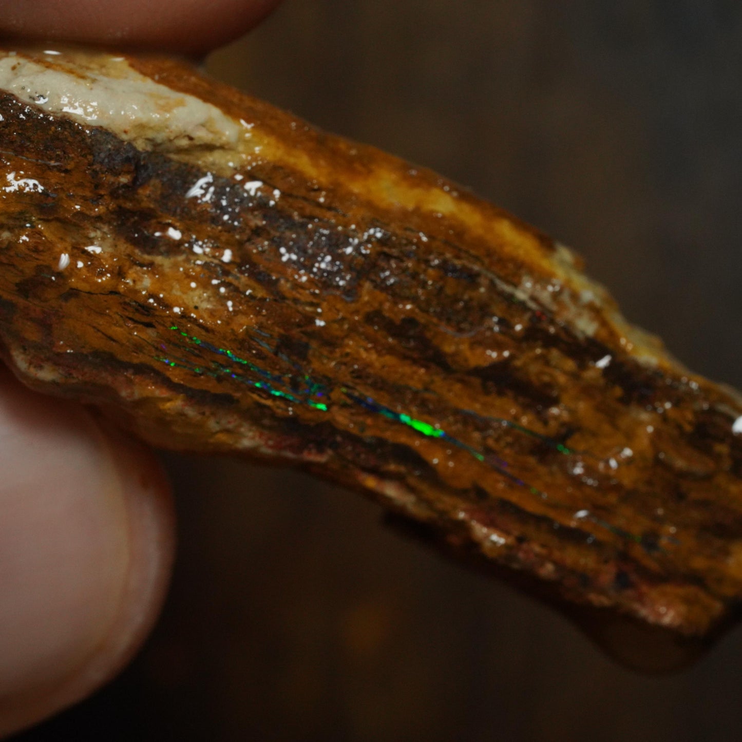 Boulder Opal