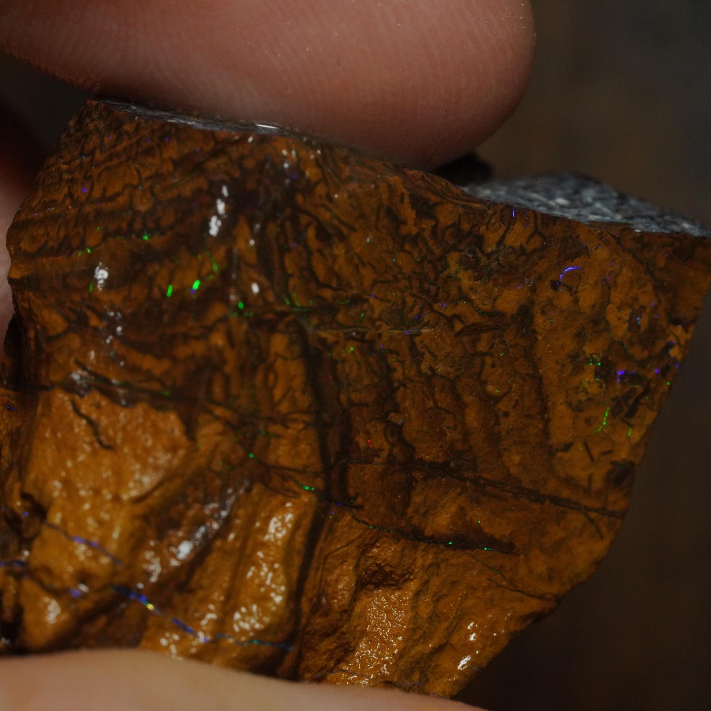 Boulder Opal