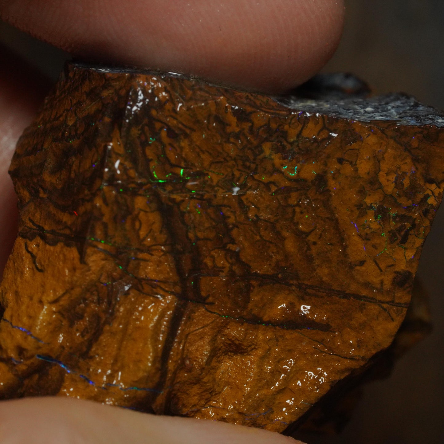 Boulder Opal