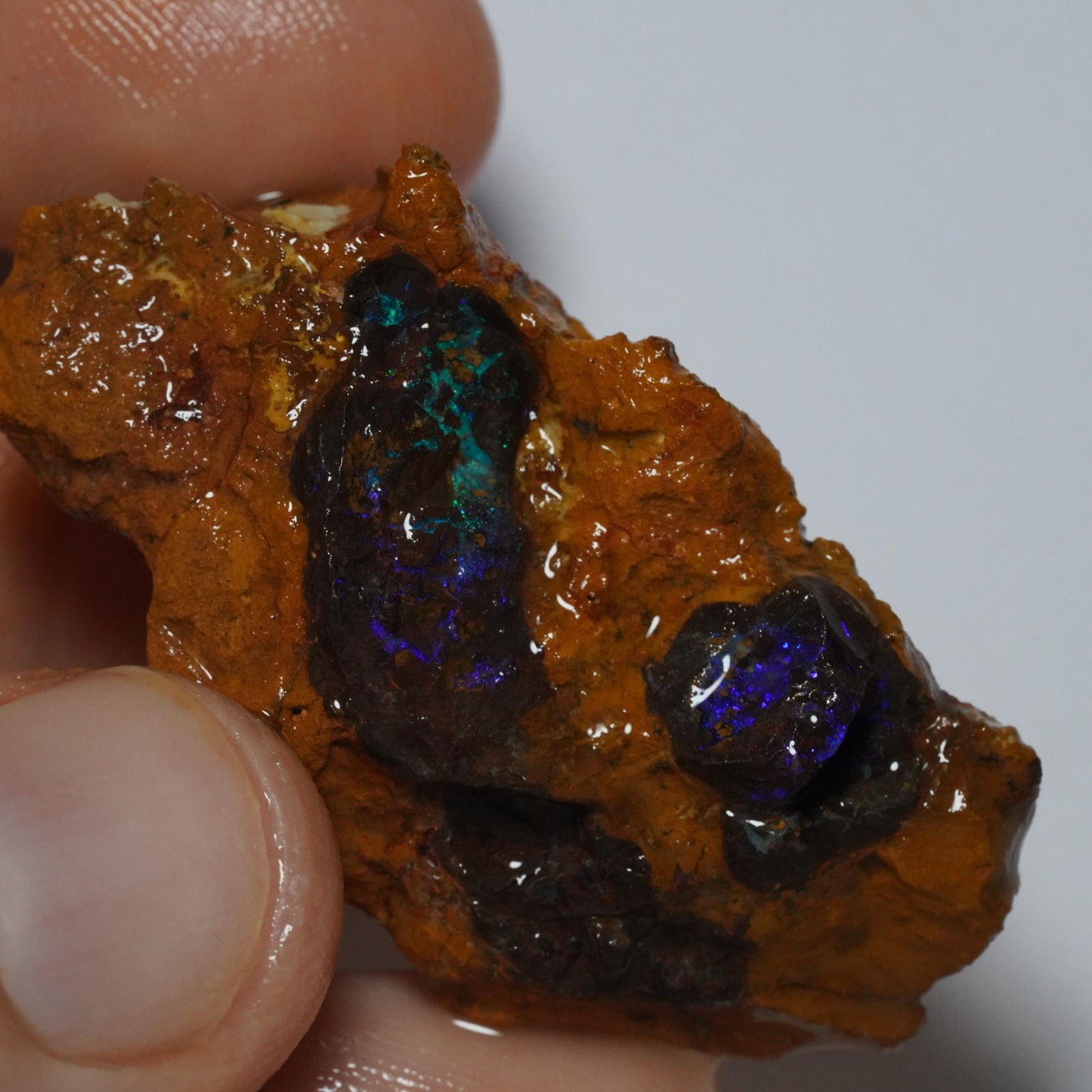 Boulder Opal